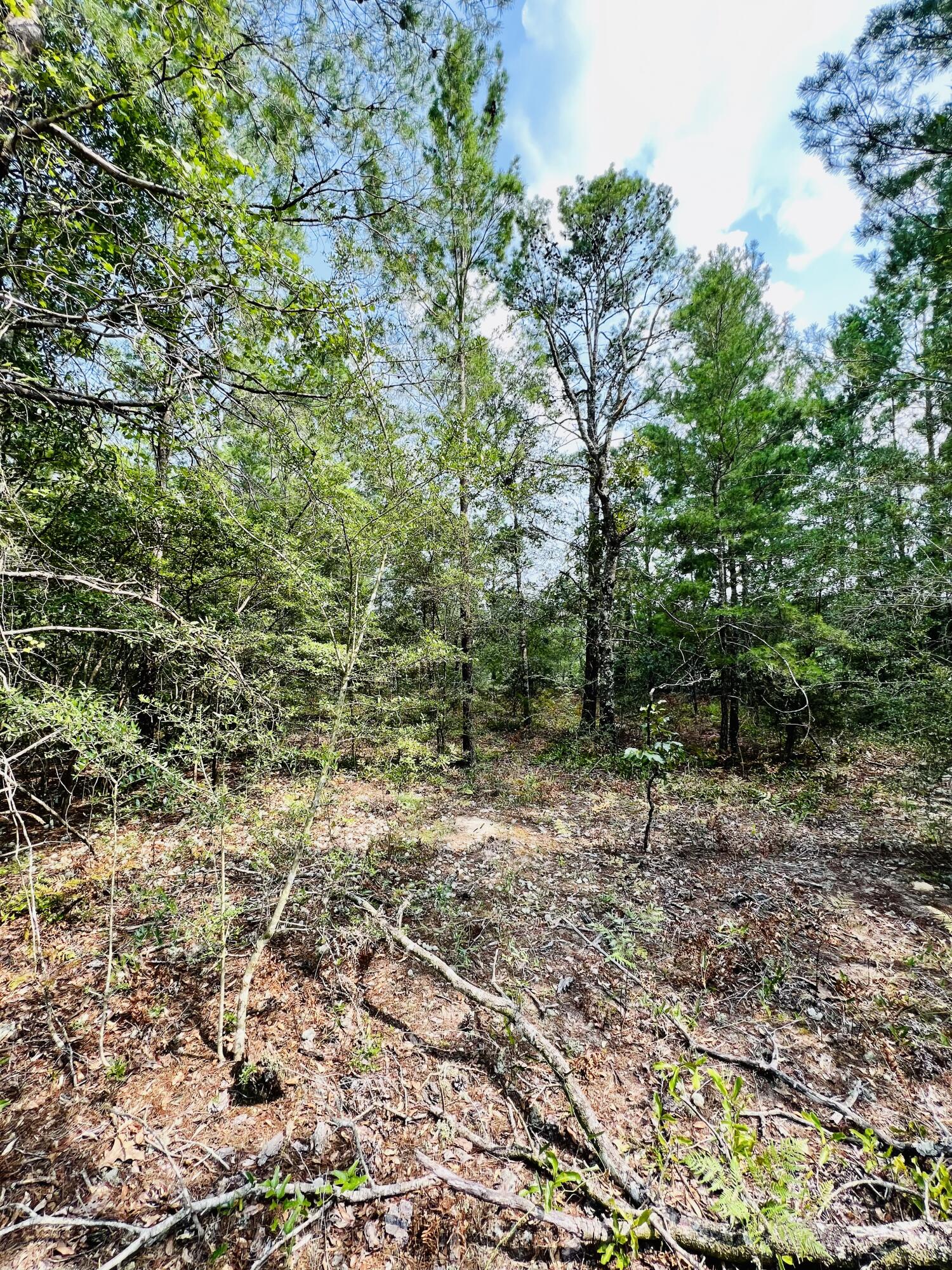 OAKWOOD HILLS UNIT 3 - Land