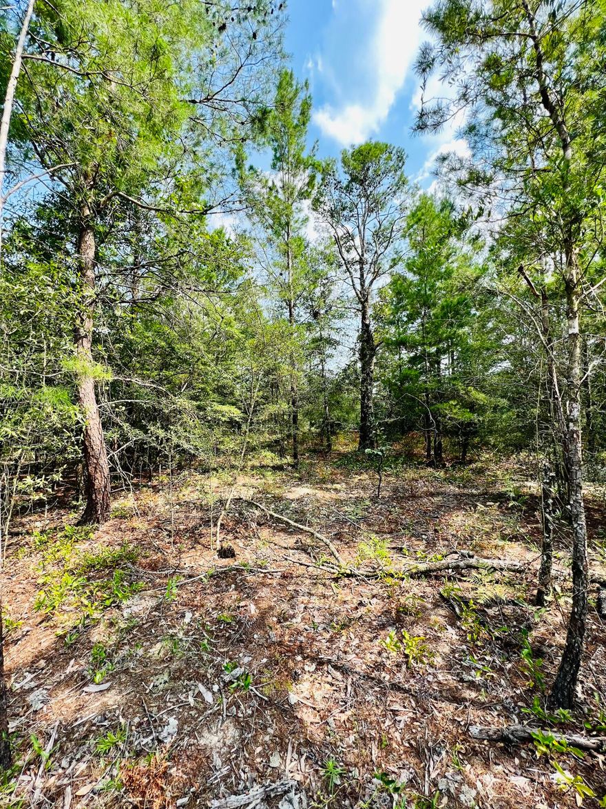 Got building plans? Or a mobile home that needs a lot? Here is the perfect near quarter acre lot up for grabs! Property is dry, located in flood zone X. Utilities available at Ponderosa Blvd. Only 15 minutes from Historic DeFuniak Springs, 25 minutes to Crestview and just under an hour from the Emerald Coast's beautiful beaches!