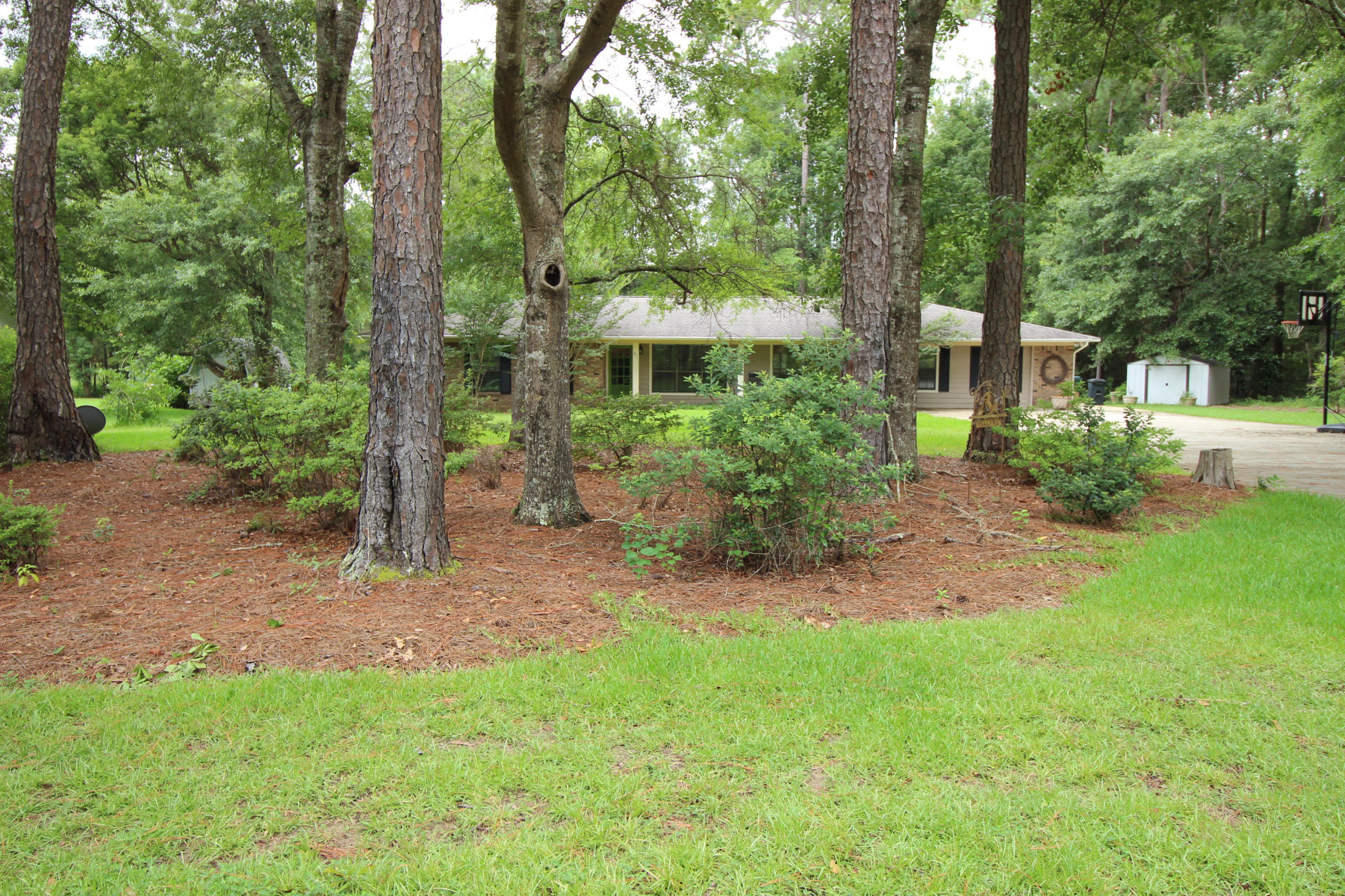 PINE SHORES - Residential