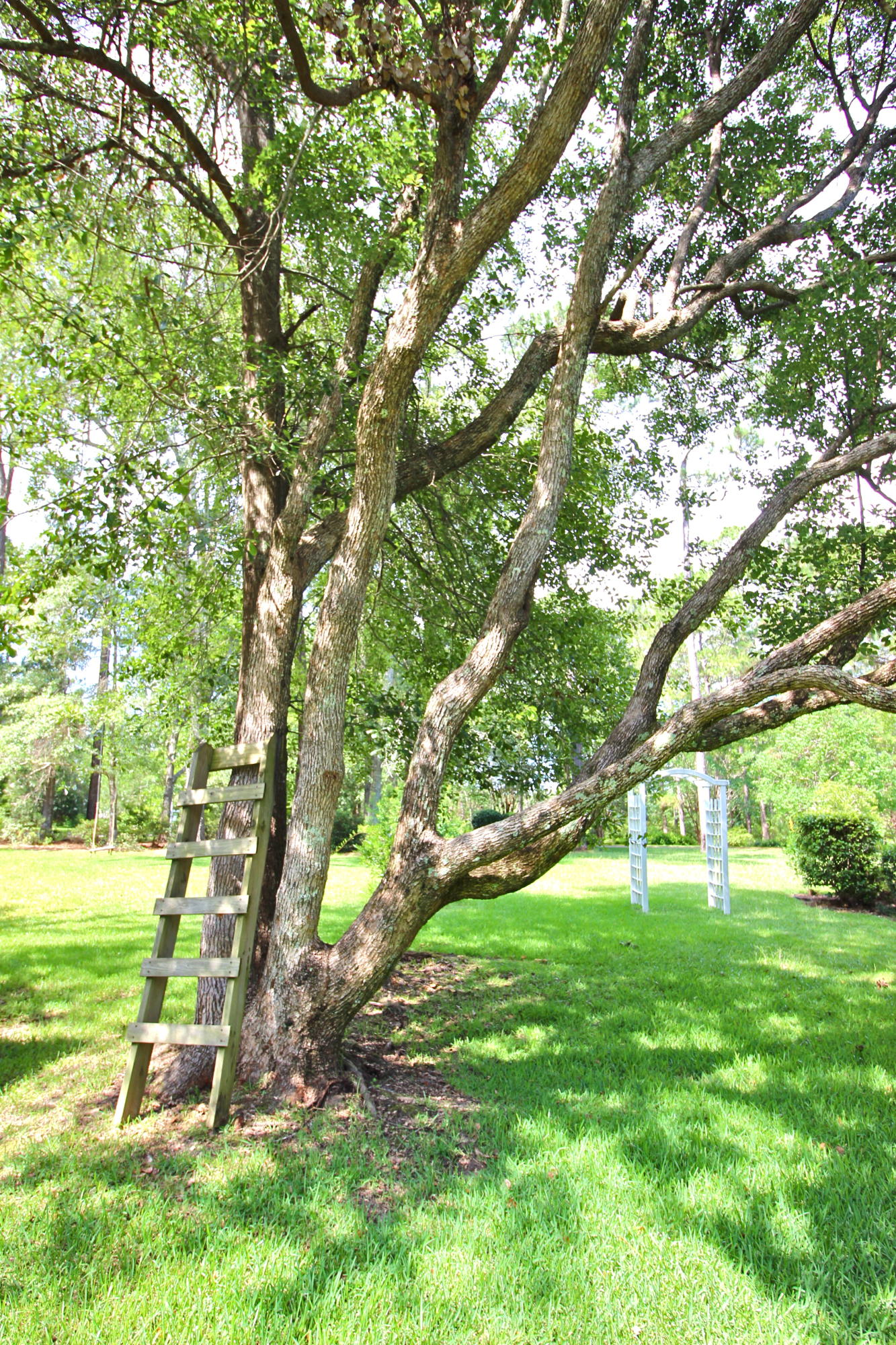 PINE SHORES - Residential