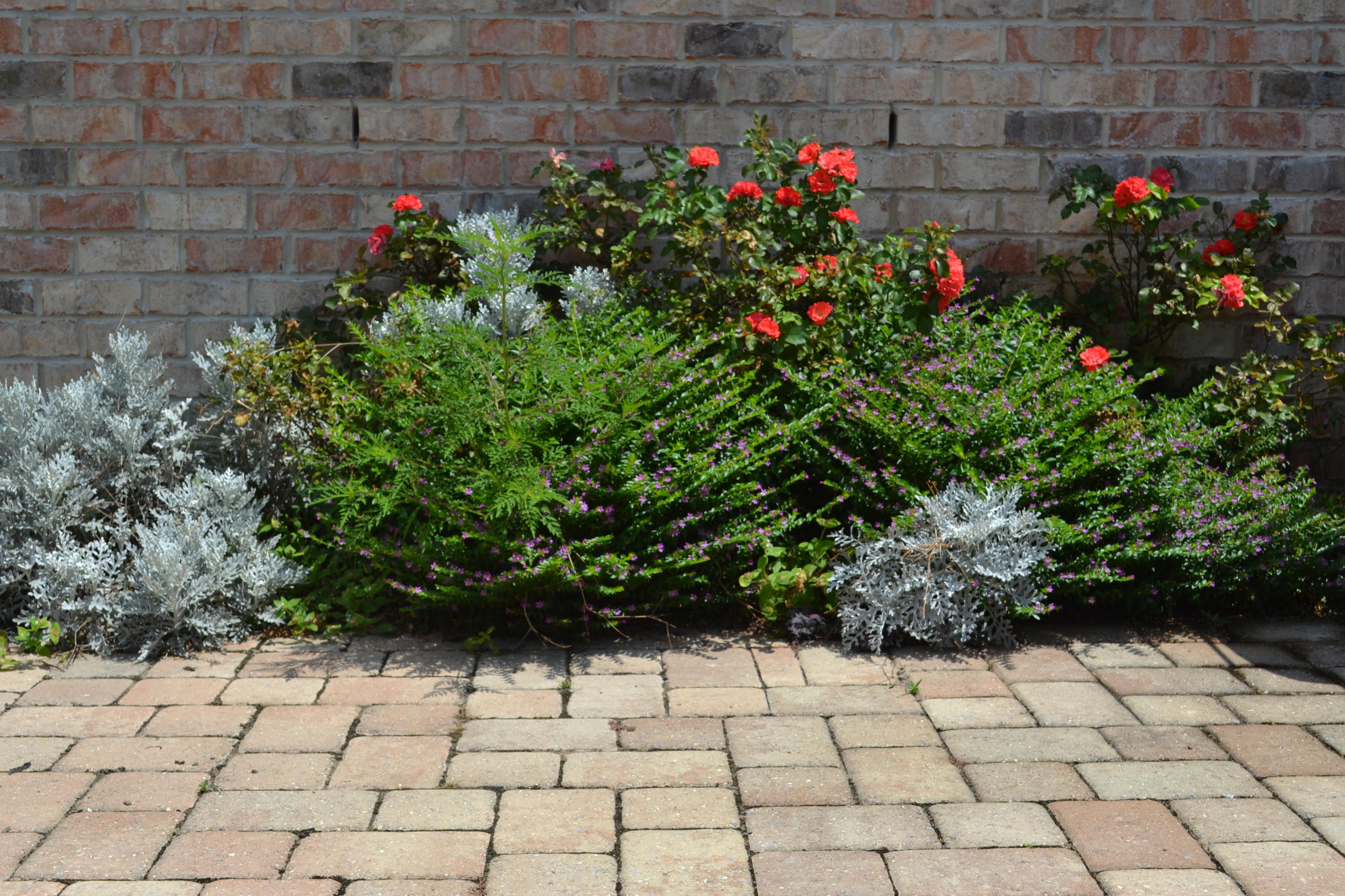 FOREST HEIGHTS - Residential