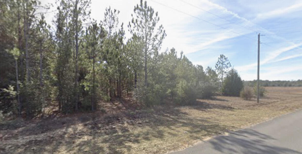 Build your dream home or Invest and build! There is 4.5 acres in this secluded wooded area! Electric is at the road!  Imagine what you can build here! Bring the horses if you would like!