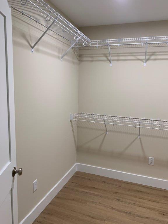Willow Street - Residential Lease