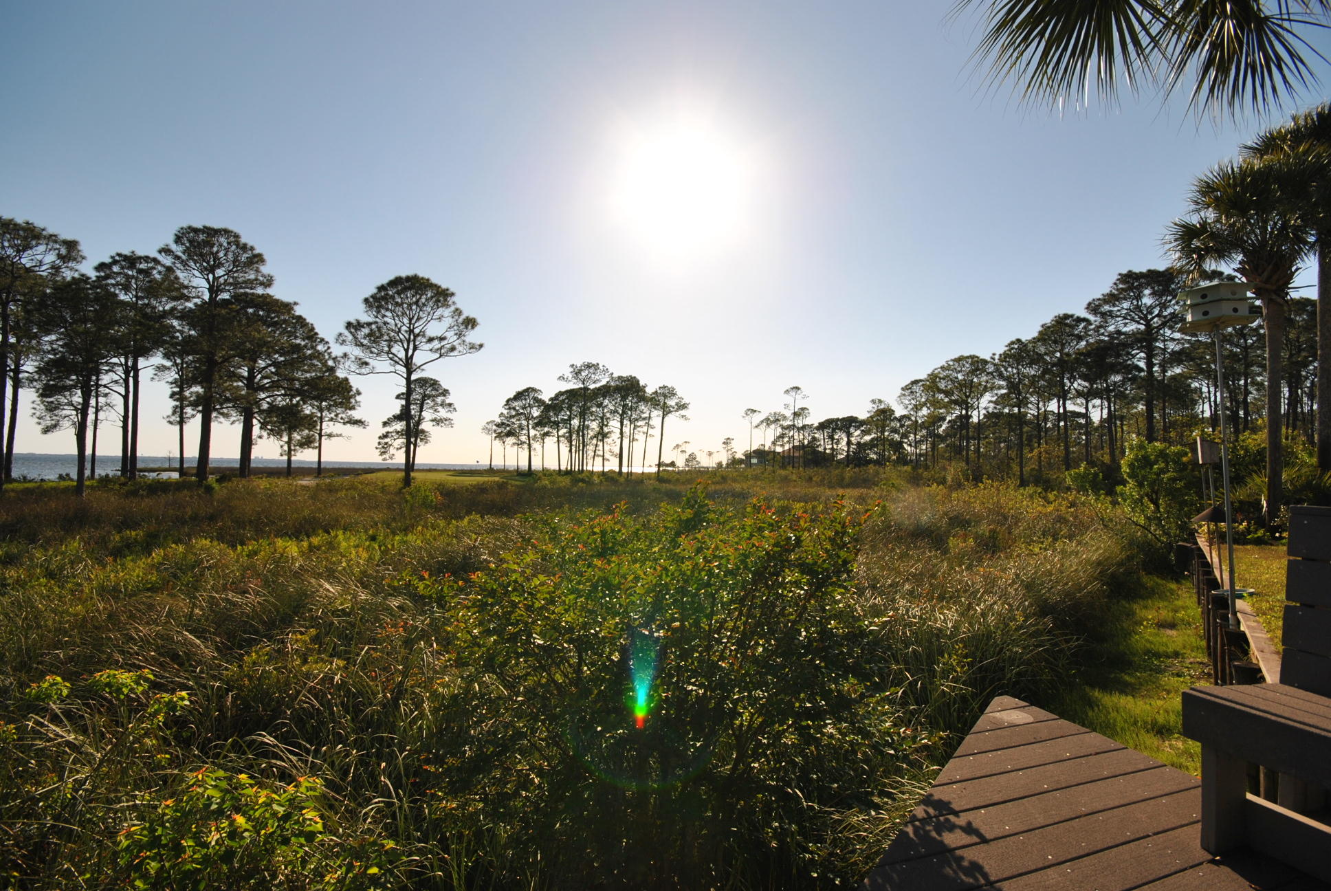 Southwind Ph 6 - Residential