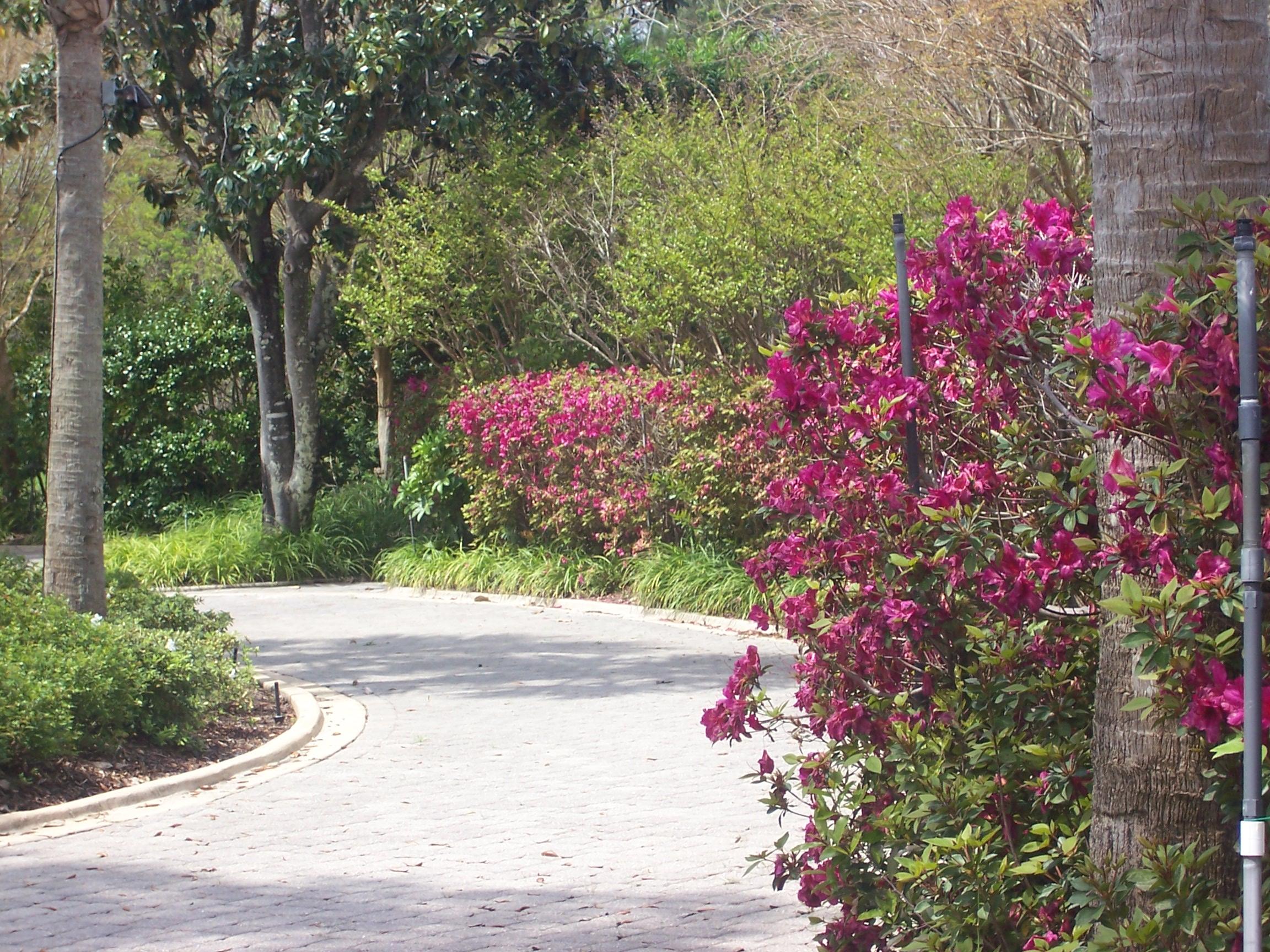 Southwind Ph 6 - Residential