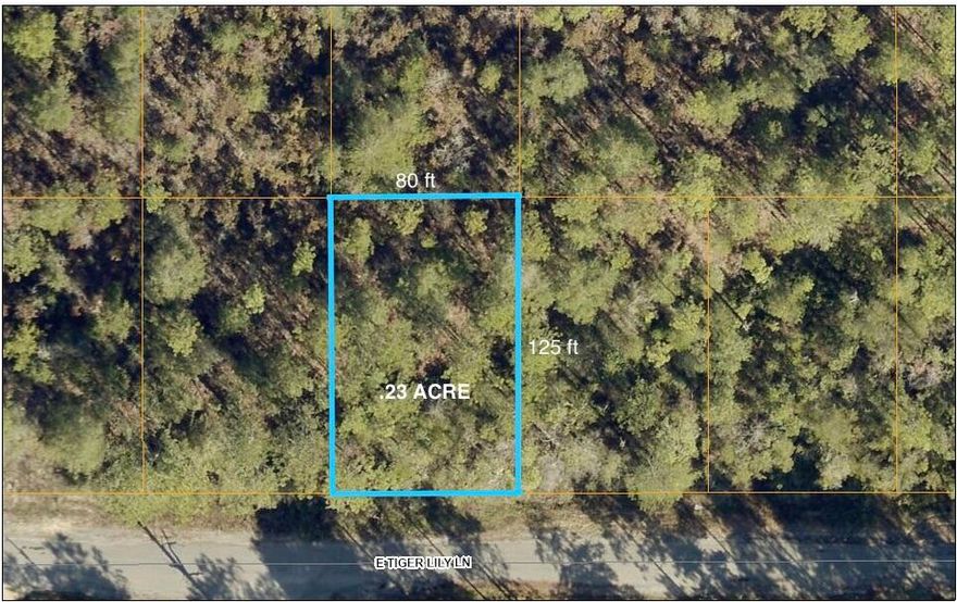 Approximately .23 of an acre between DeFuniak Springs and Mossy Head. Mobile homes are allowed. There's minimal restrictions & no HOA. There are no existing utilities but power & public water (tap fee due) are available at the street. The property is Flood Zone X. Per the Walton County GIS mapping, the property does not appear to have wetlands. Easy access to the I-10 & CR 285 south. You will be approx. 45 minutes to the beautiful white sandy beaches of the Emerald Coast.