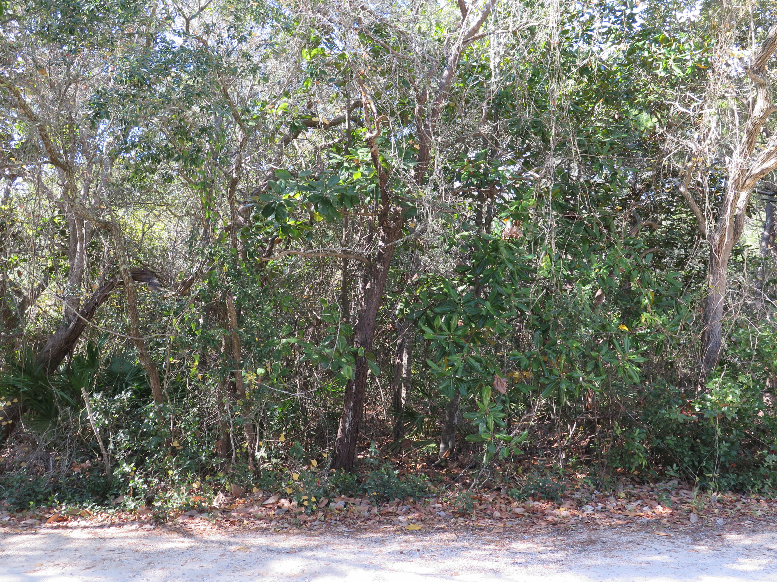 SEAGROVE 3RD ADDN - Land