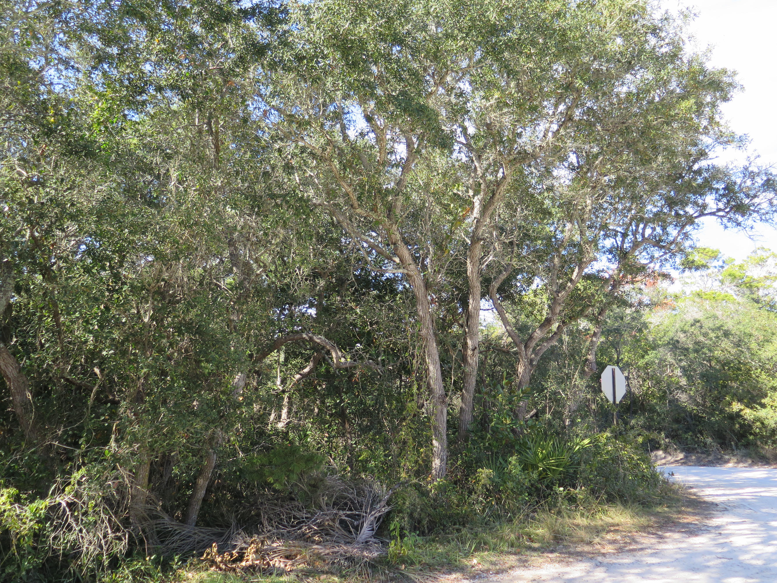 SEAGROVE 3RD ADDN - Land