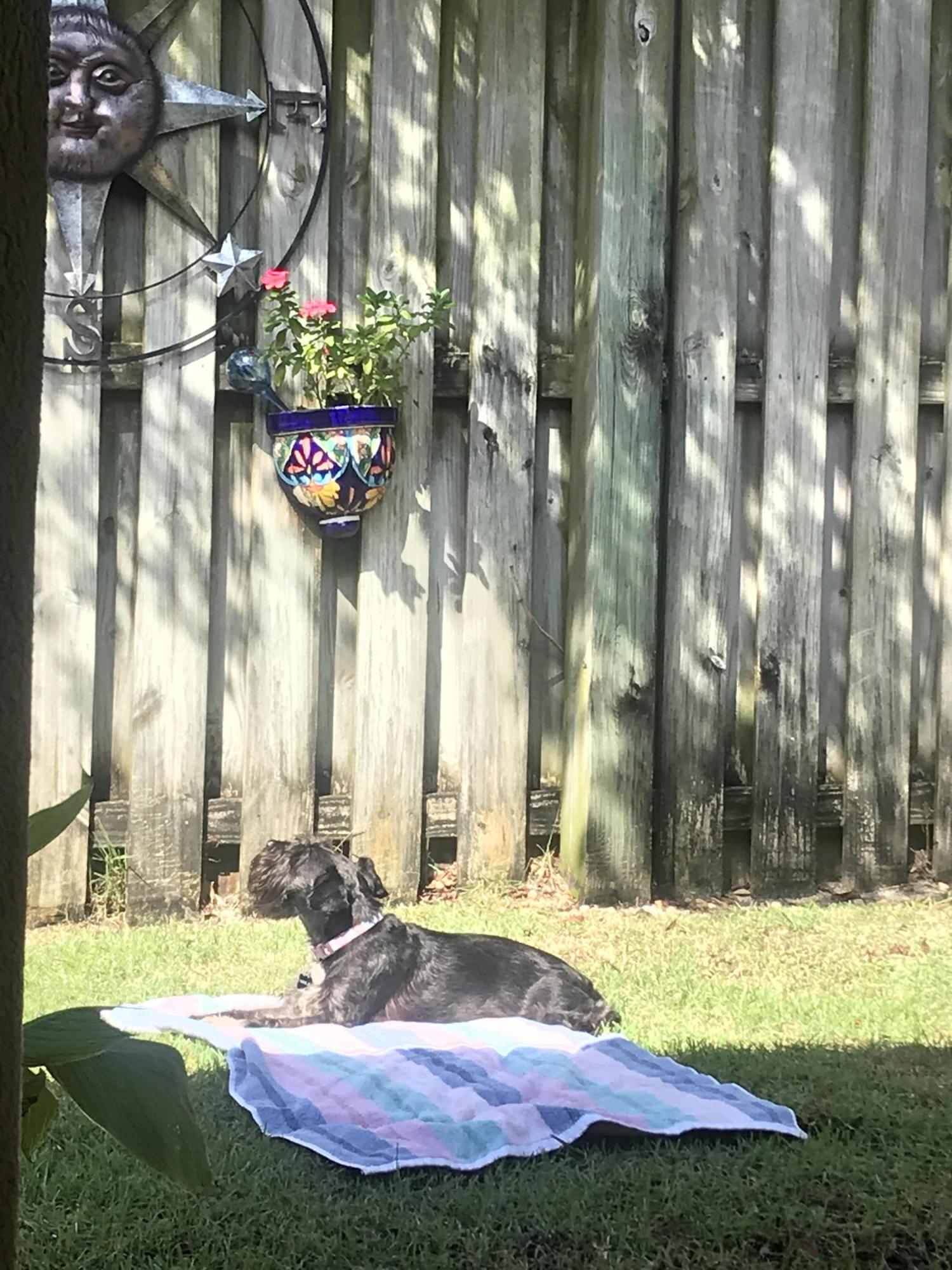 TUSCANY S/D - Residential