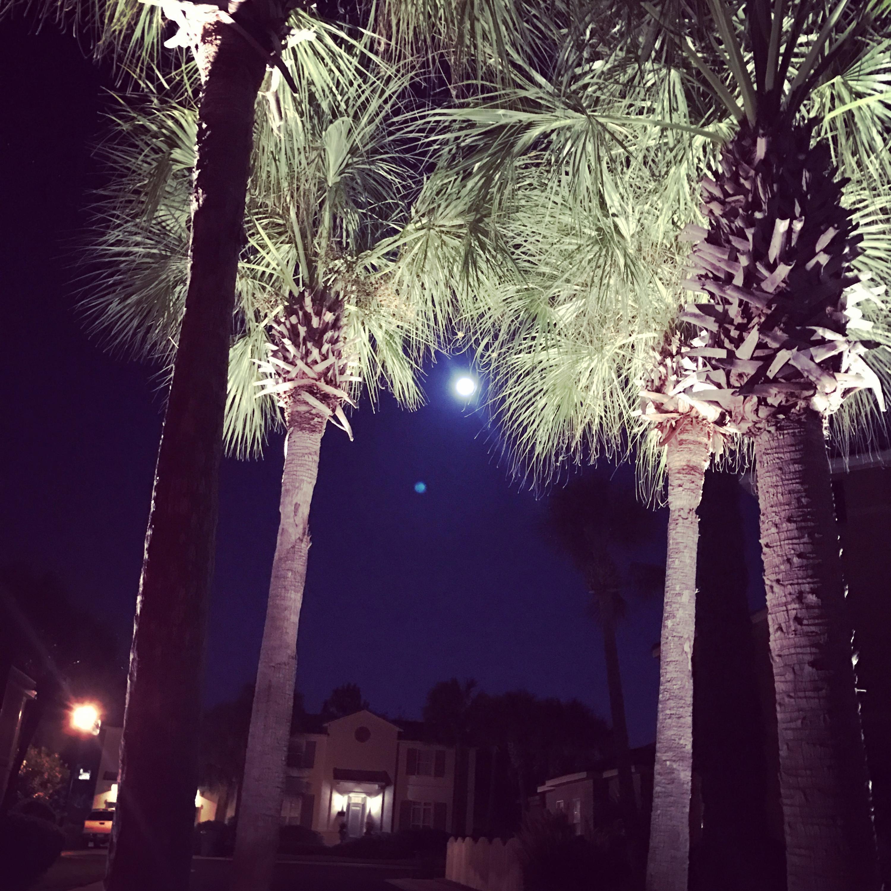 TUSCANY S/D - Residential