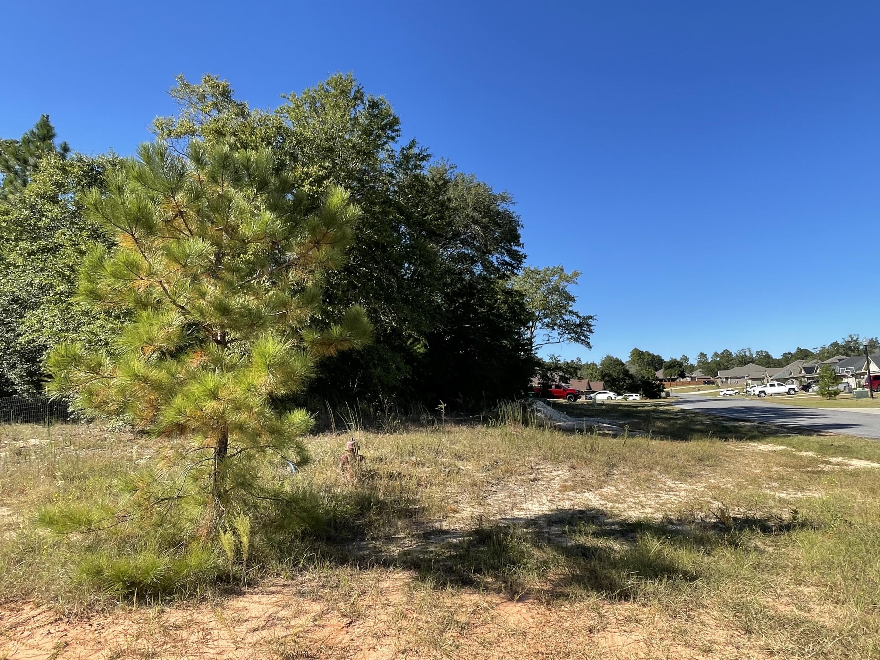 WILLOW CREEK PLANTATION - Land