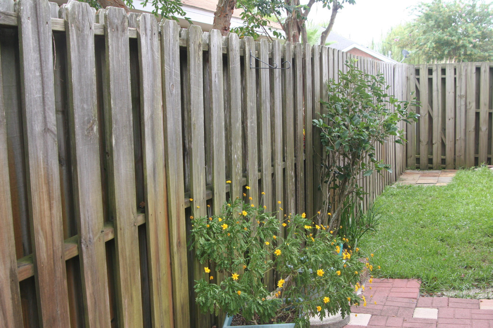 BAYSIDE - Residential Lease