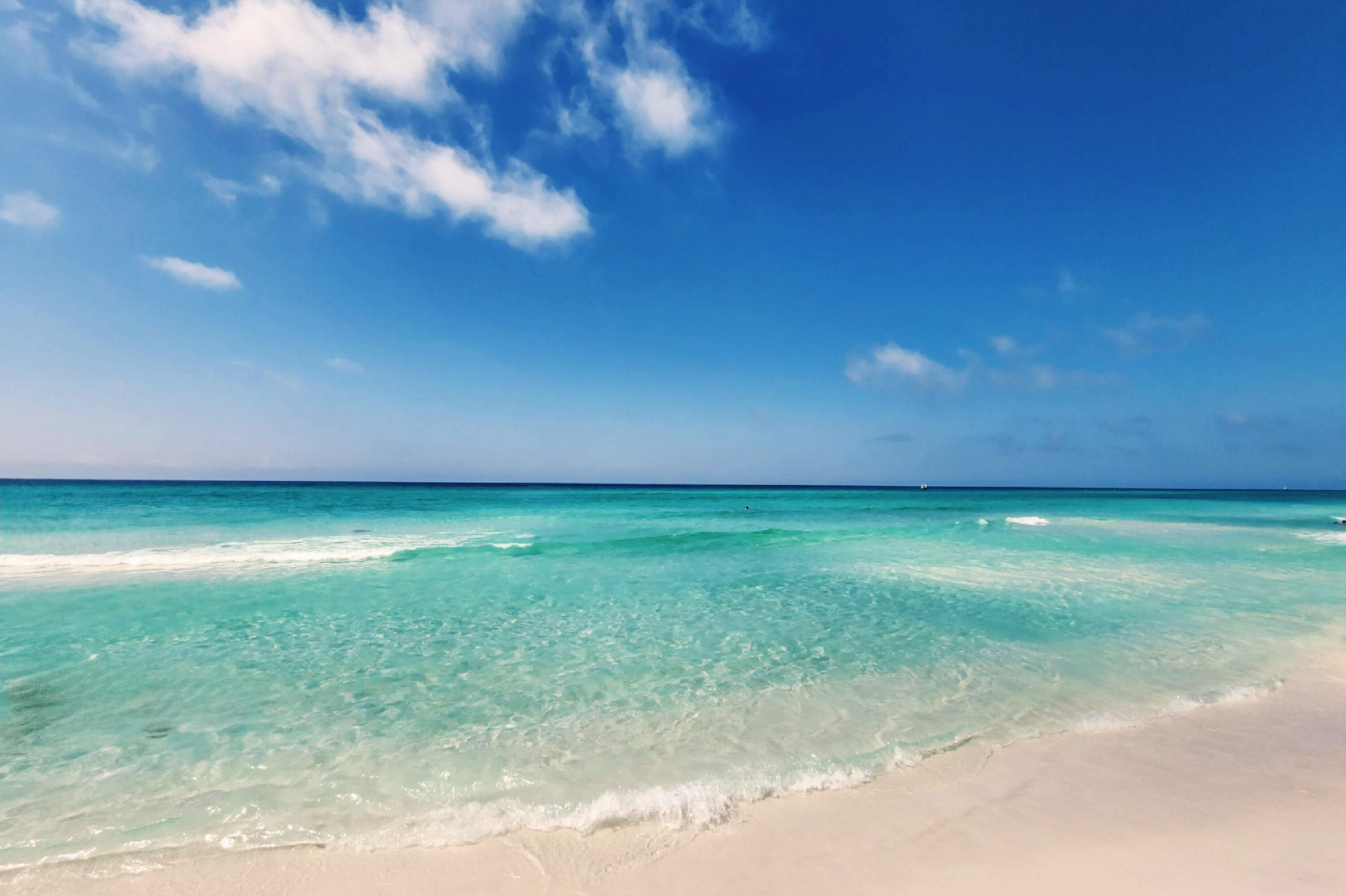 DOLPHIN POINT CONDO - Residential