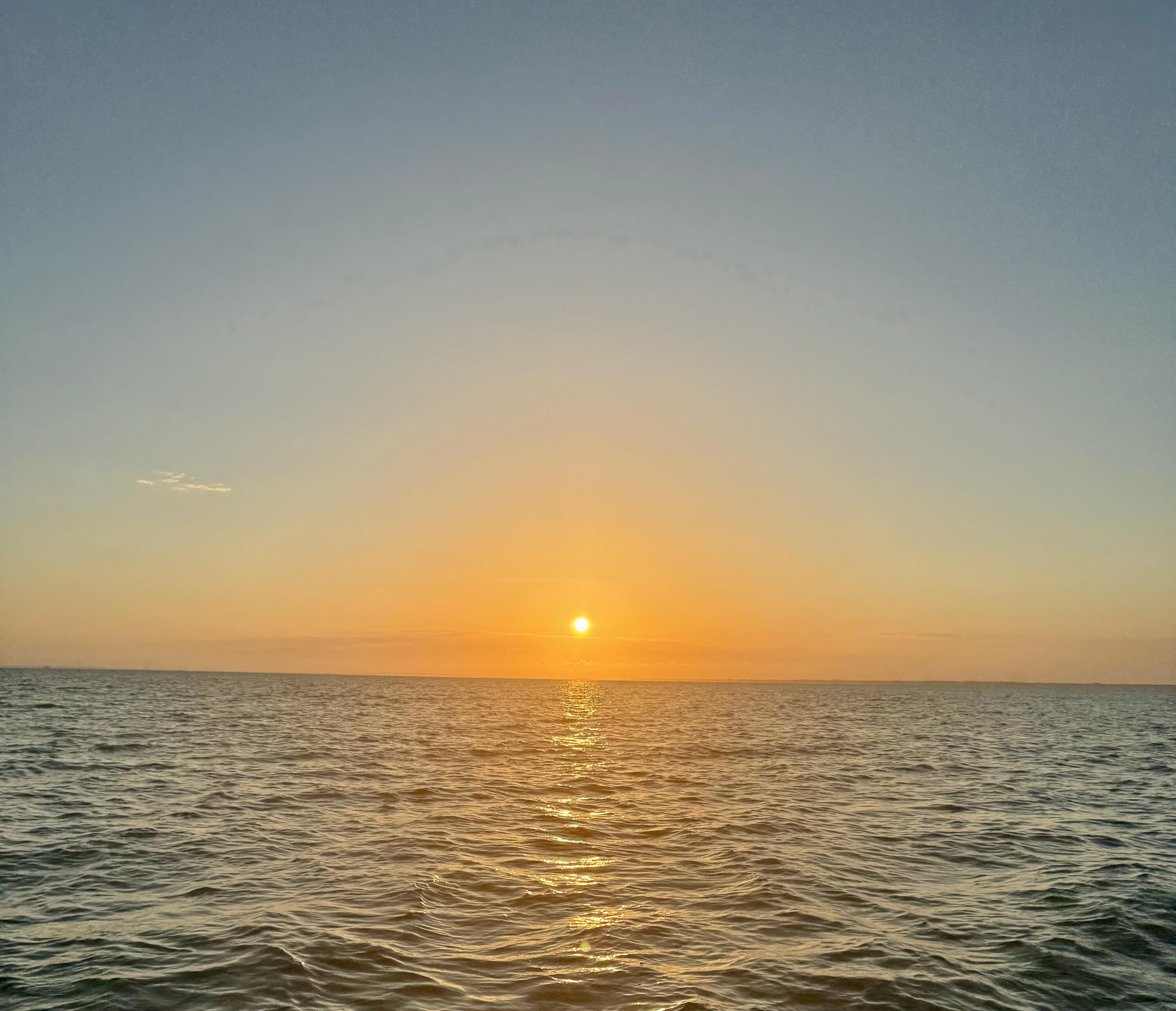 MAGNOLIA SQUARE - Residential