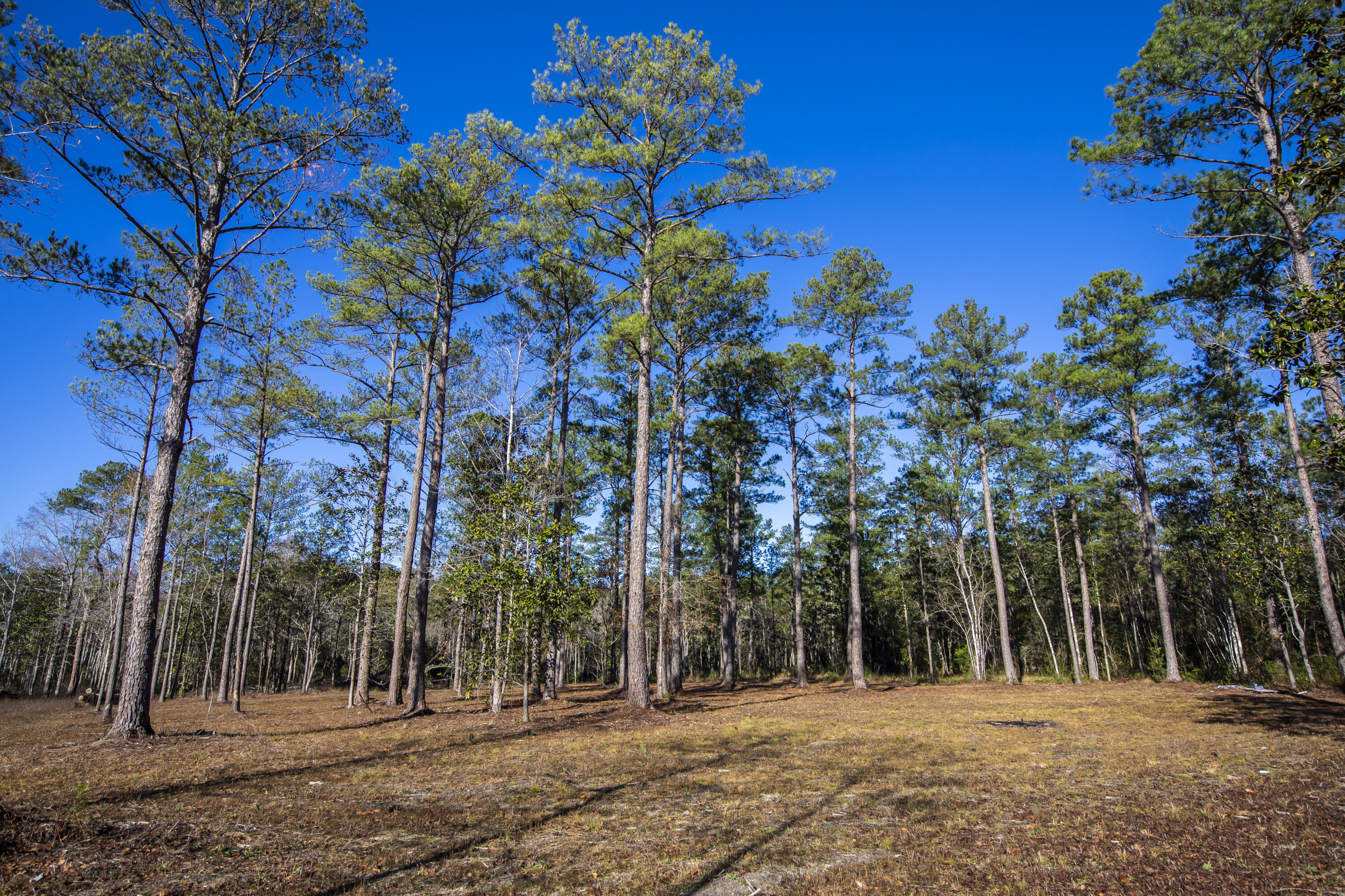 LOT 5 INDIAN CREEK RANCHETTES - Residential