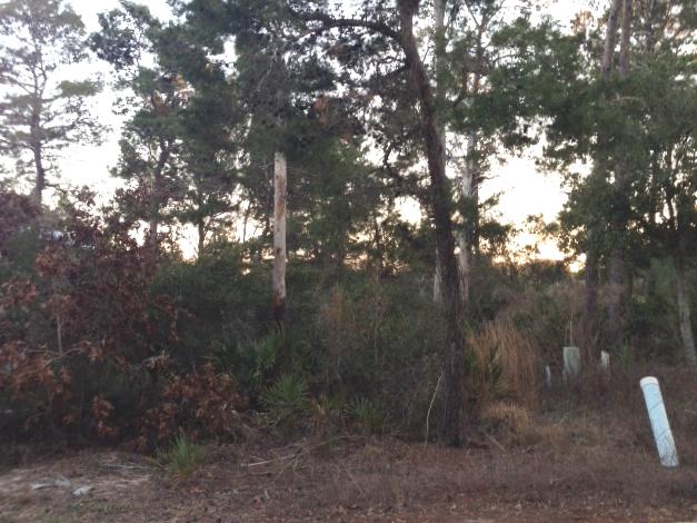 GREENWAY PARK - Land