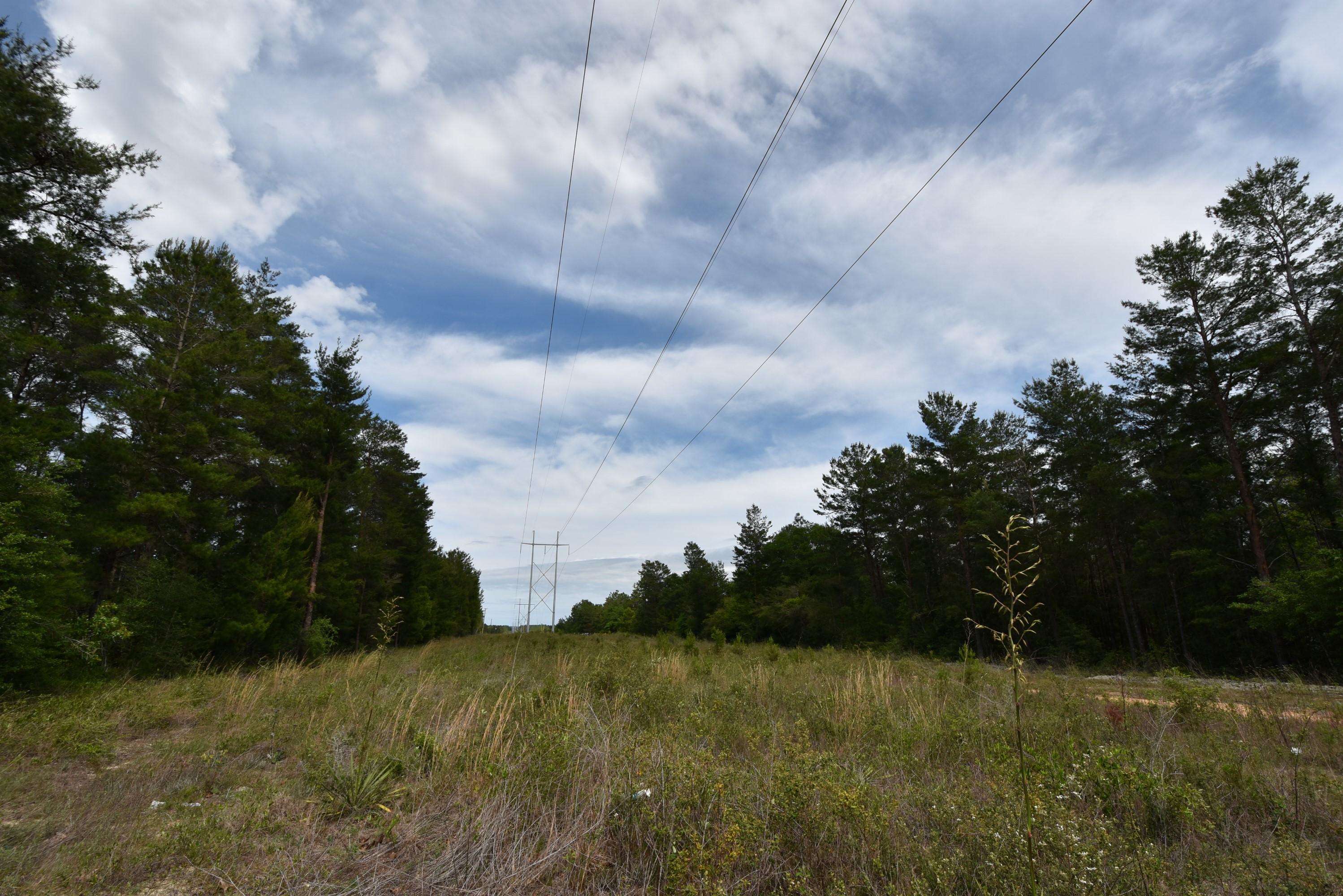 Fairlane Farms - Land