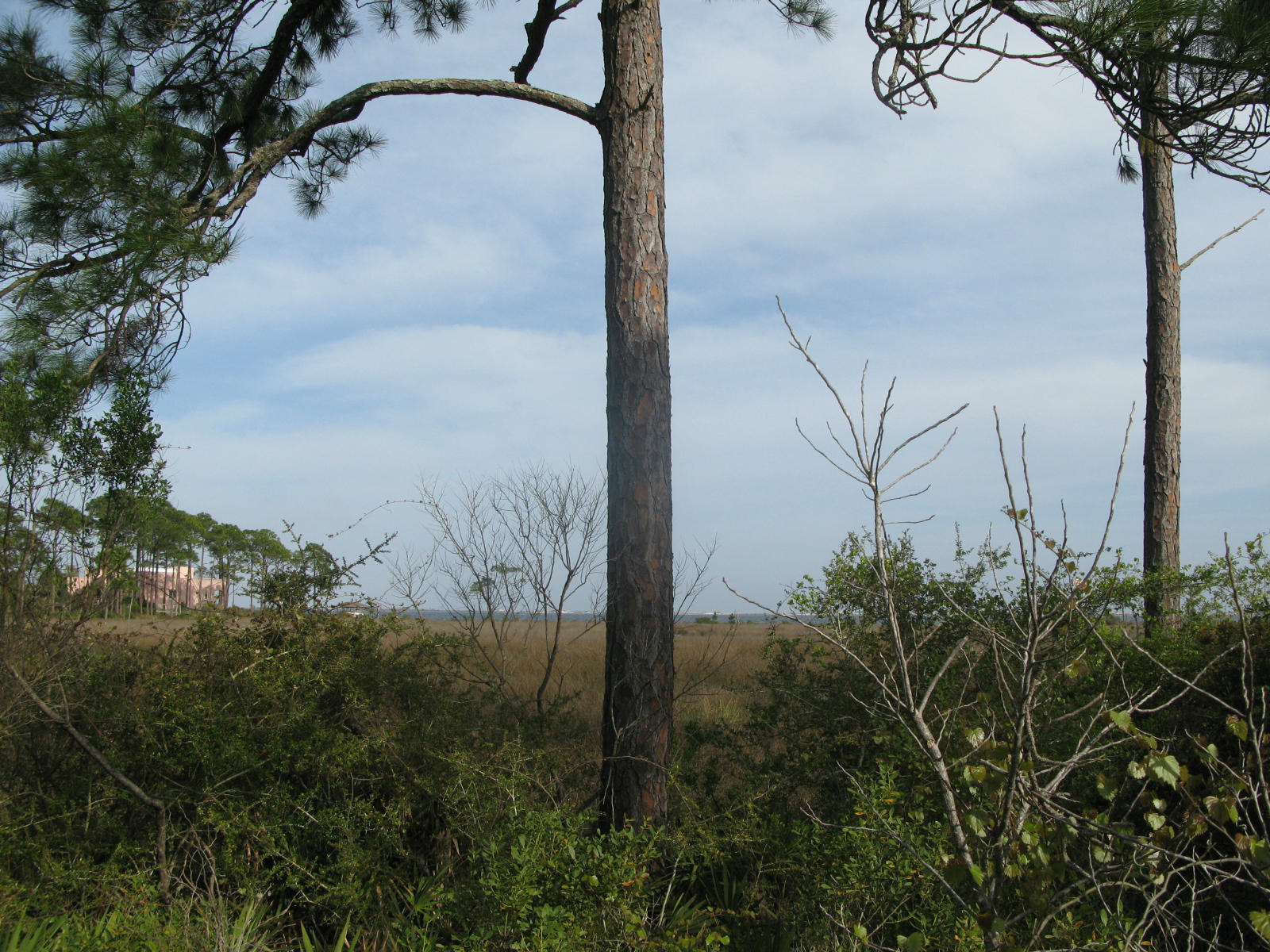 EMERALD POINTE PLAT 2 - Land