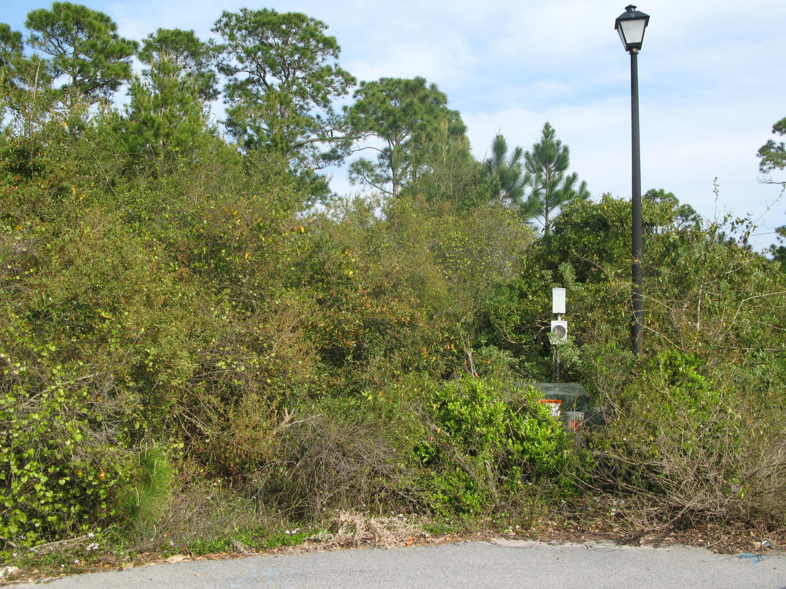 EMERALD POINTE PLAT 2 - Land