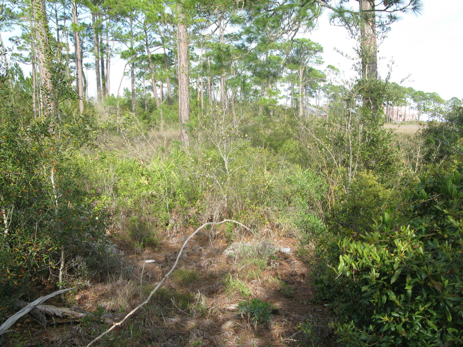 EMERALD POINTE PLAT 2 - Land