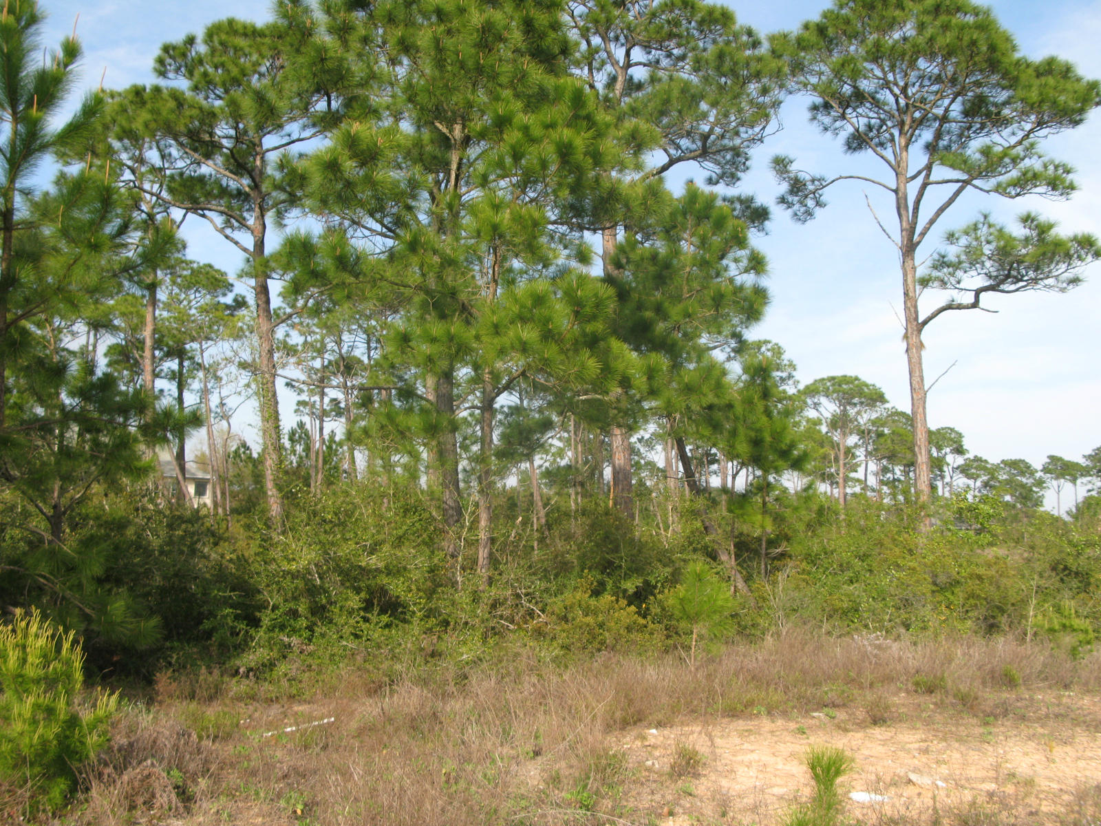 EMERALD POINTE PLAT 2 - Land