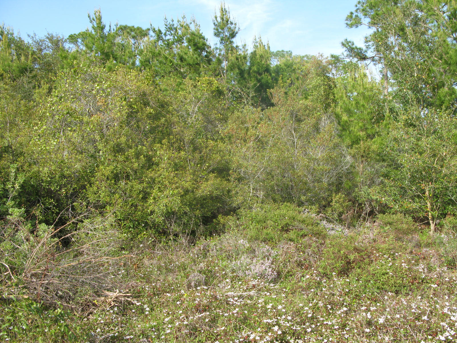 EMERALD POINTE PLAT 2 - Land