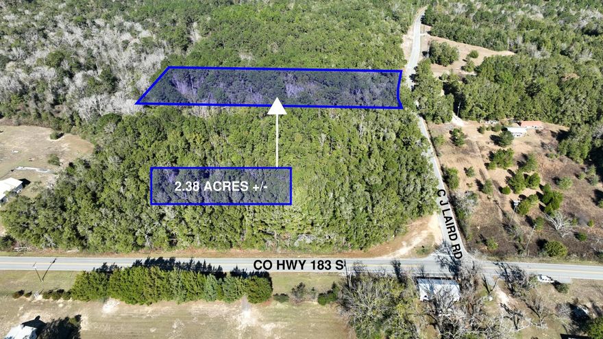 2.5-Acre Residential Lot with Owner Financing in Thriving Rural Community. Scenic views and natural beauty surround you in an idyllically serene setting.  This new ranchette-style development is situated in a bedroom community in Central Walton County. 15 minutes southeast of historic Defuniak Springs and I-10 and a short drive to 30-A and the beaches of South Walton. This expansive residential lot can accommodate your ultimate custom dream home. The endless possibilities provide your blank canvas for your vision. Pools, gardens, and outdoor entertainment possibilities allow your imagination to explore innumerable options.The rare opportunity for owner financing caps off the amazing benefits of ownership. Only six lots are now available so take advantage today.