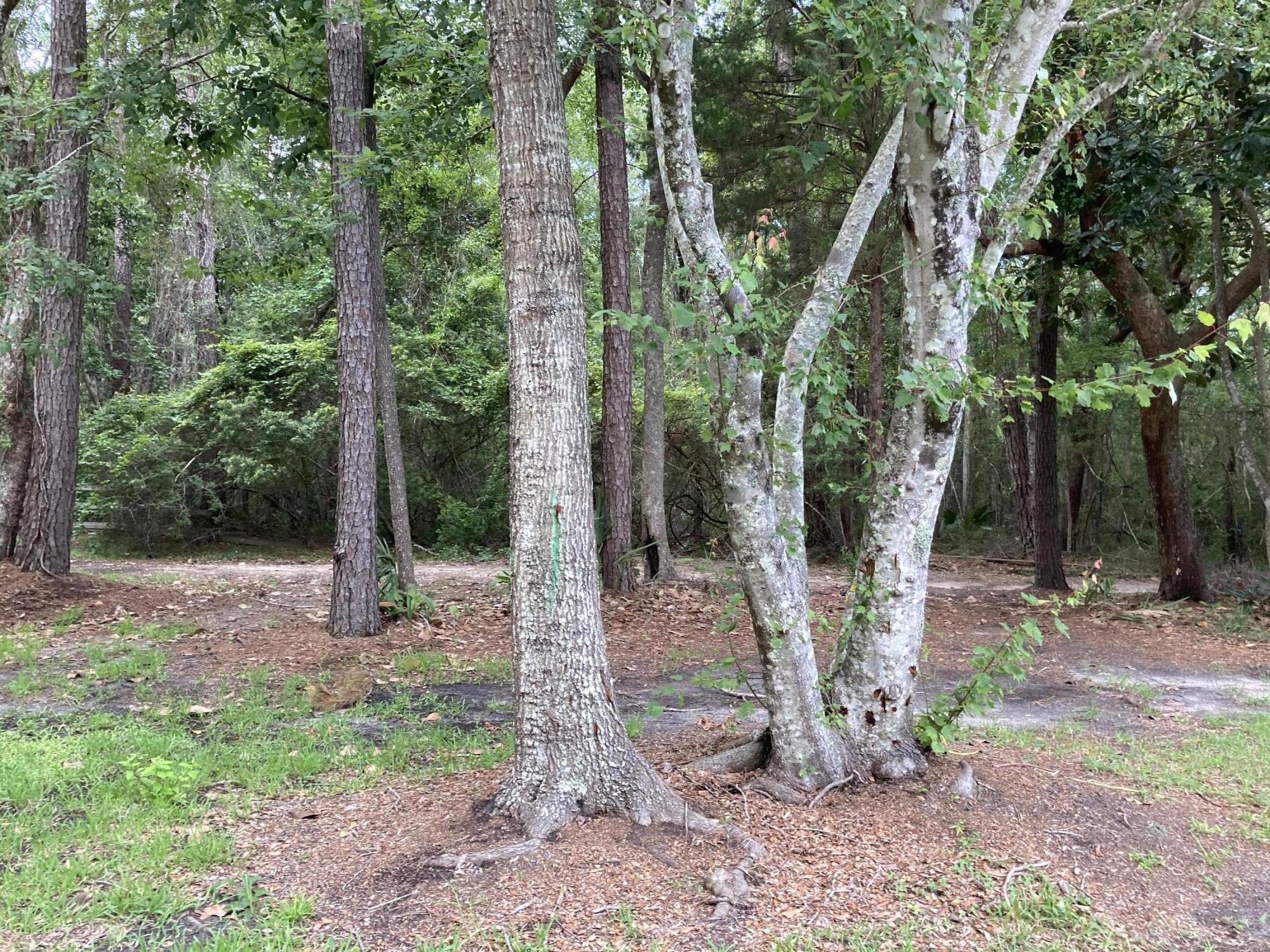 Lagrange Bayou S/D Unrecd - Residential