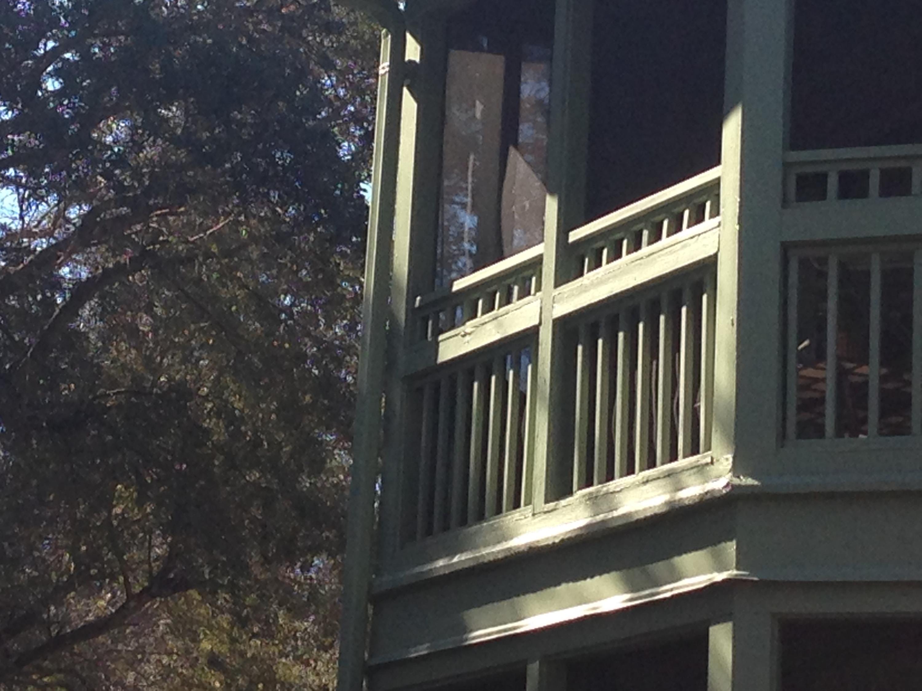 GARDEN OAKS CONDO - Residential