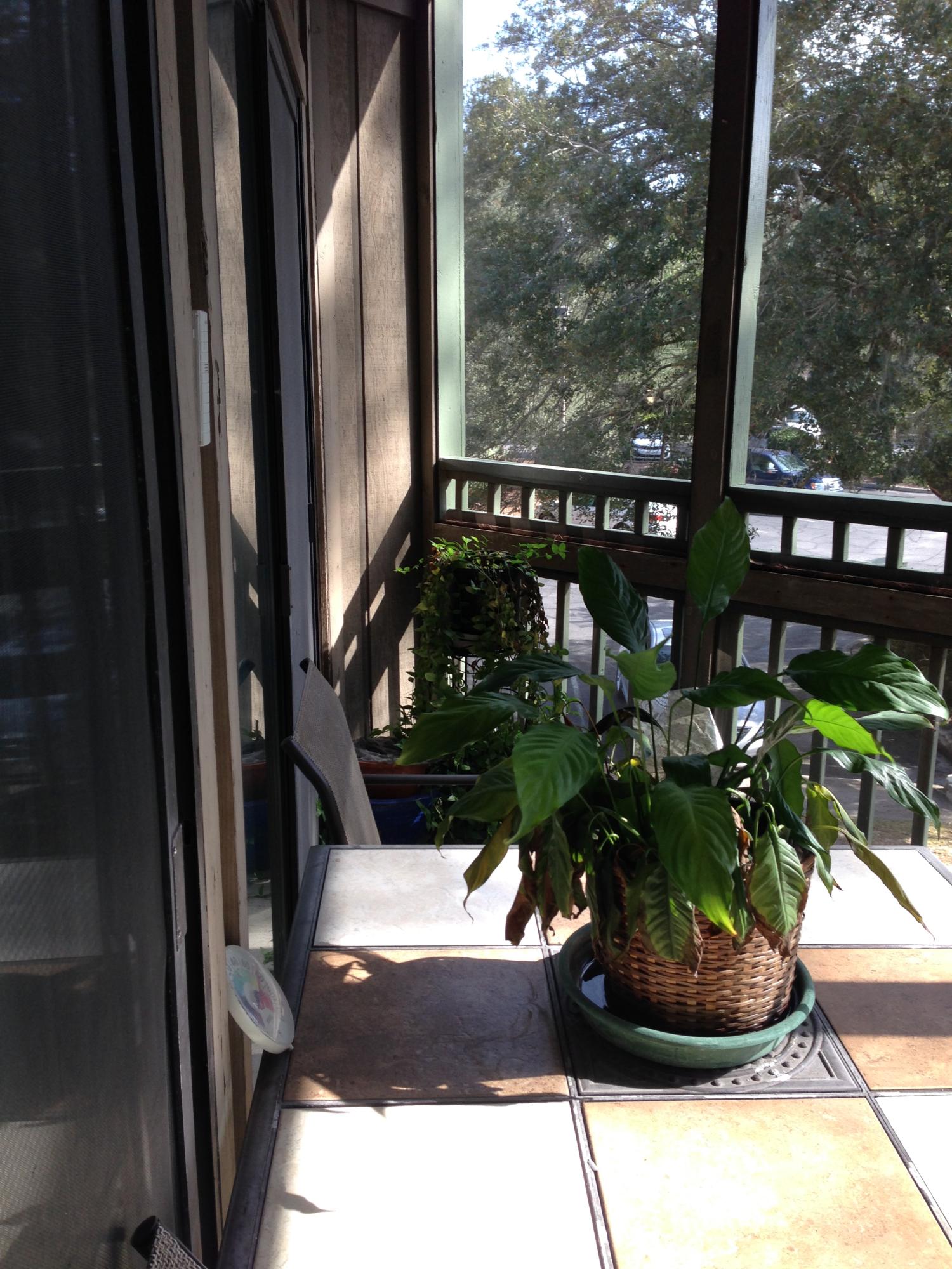 GARDEN OAKS CONDO - Residential