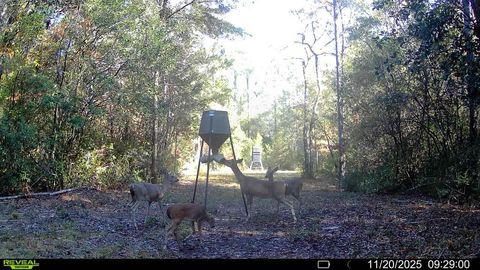 Photo of Parcel A&B Sunburst Drive, Crestview, FL 32539 (MLS # 990859)