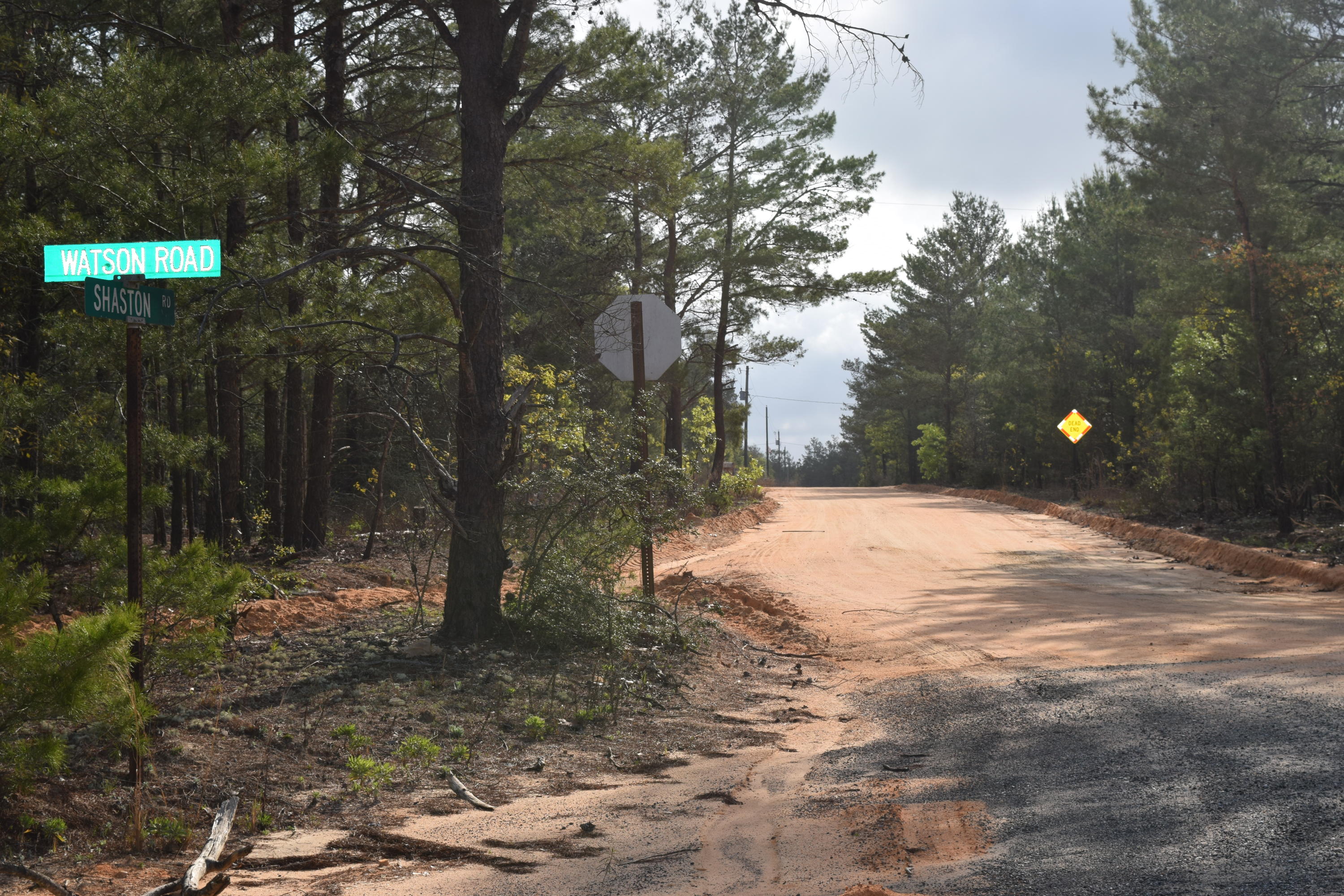 1 Acre, vacant lot ready for you to build your new home on! Located just minutes from the local Mossy Head park, Mossy Head Elementary School, Blackstone Golf Course, and I10. Do you enjoy quite local swimming spots? You'll be thrilled to know there are two locations just down the road from Shaston Rd! Mossy Head is a fast growing community with FedEx recently moving to town, you'll find the town small enough to have true country living but still be close enough to the city limits. You'll have Chelco for electricity and Mossy Head Water Works for water. The trash pickup is provided by Walton county once a week. Just remember there is no HOA and this is zoned single family residential. Take a look today!