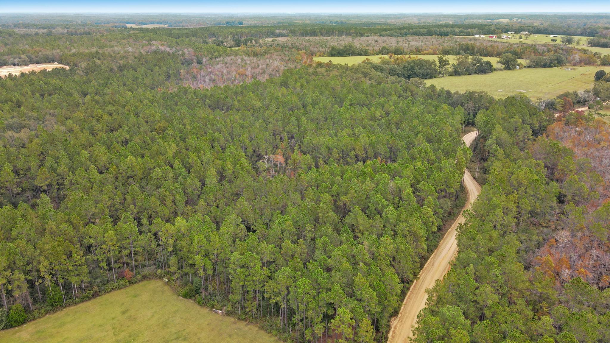 HUNTERS PARADISE that is plentiful with many species of wildlife on 130 Acres +/-. There are many opportunities on this beautifully & densely wooded property. It is loaded with mature oaks, hardwoods & scattered with pines. Wildlife includes deer, turkey, dove, quail, ducks, and more. There are no deed restrictions. Plentiful frontage on two county-maintained roads. Located about three miles to the thriving town of Bonifay. Great for home-sites, hunt club, development or investment. This property is perfectly situated on a county maintained road and is close to the interstate, and just a short drive to NW Florida Beaches International Airport. Owner Financing Options available.
