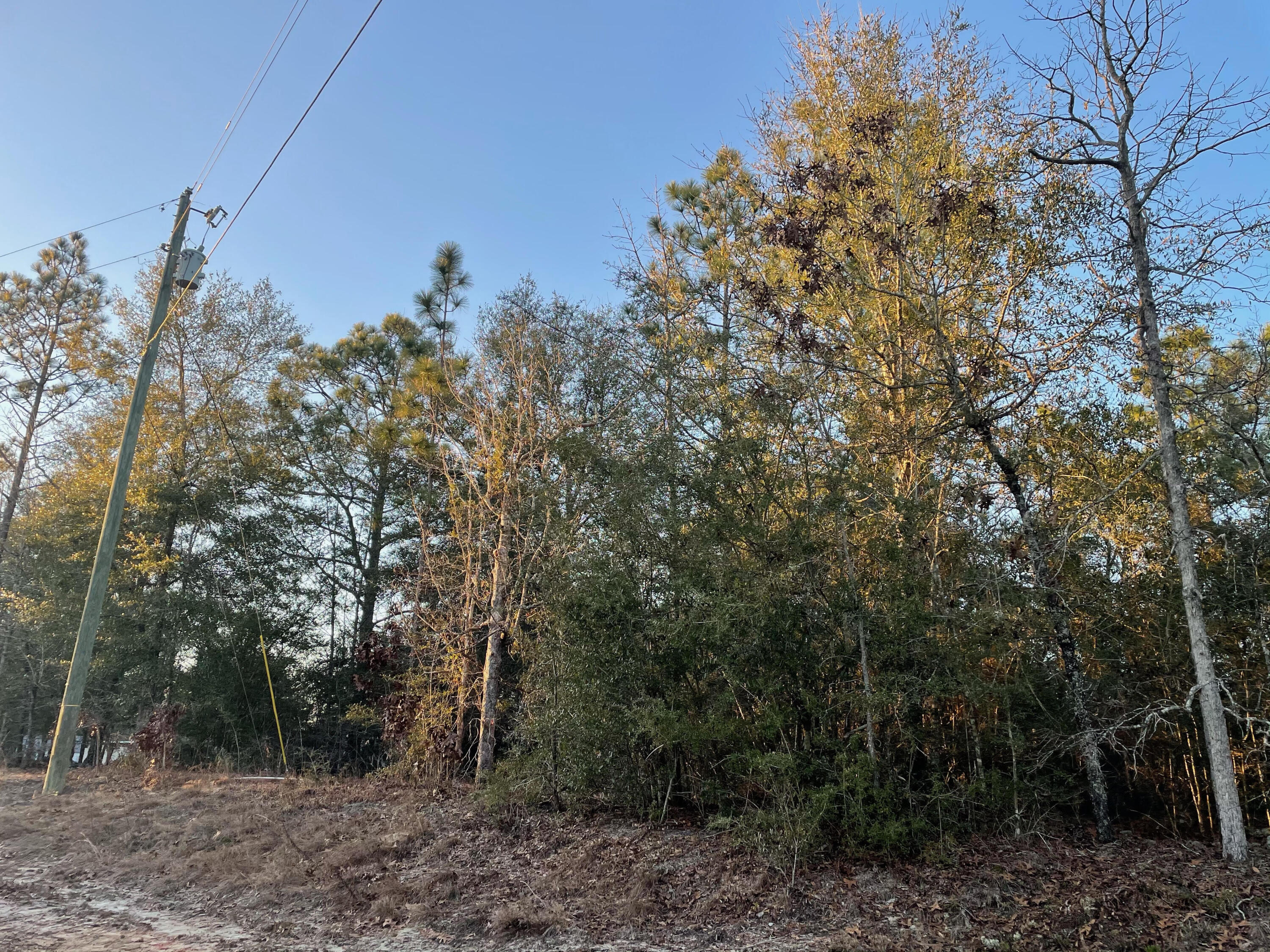 Juniper Lake Estates Unit 6 - Land