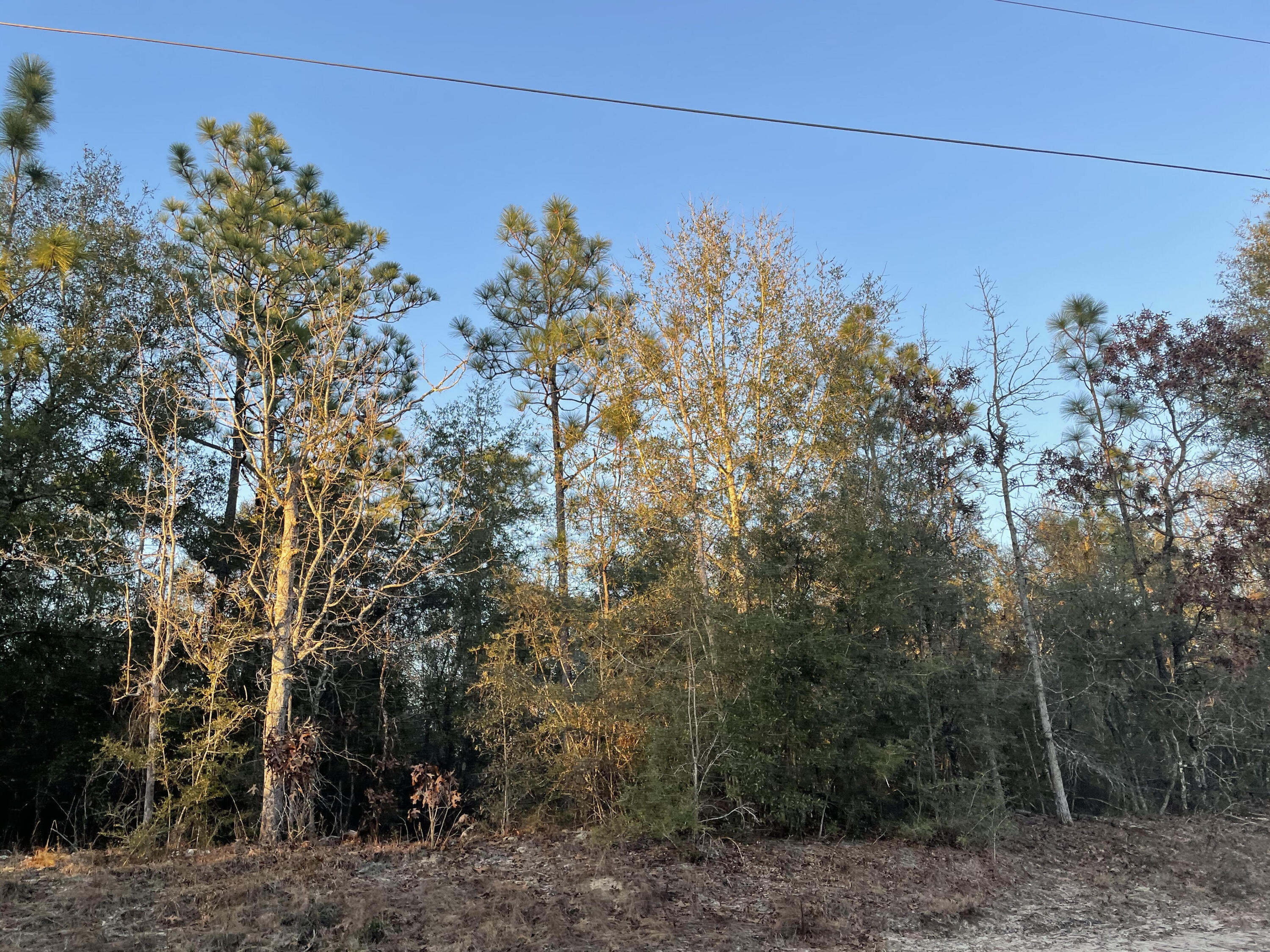 One of the most affordable lots in this area! Almost an acre for $15,000! The lot is level and is high and dry. It is perfect whether you are looking to place a manufactured home or build your house! Don't let this opportunity pass you by!