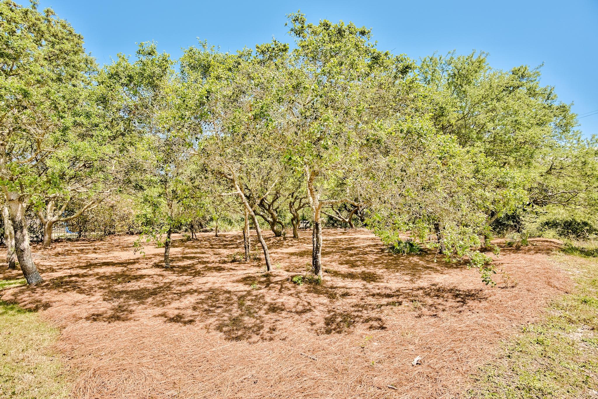 EASTERN LAKE ESTATES - Residential