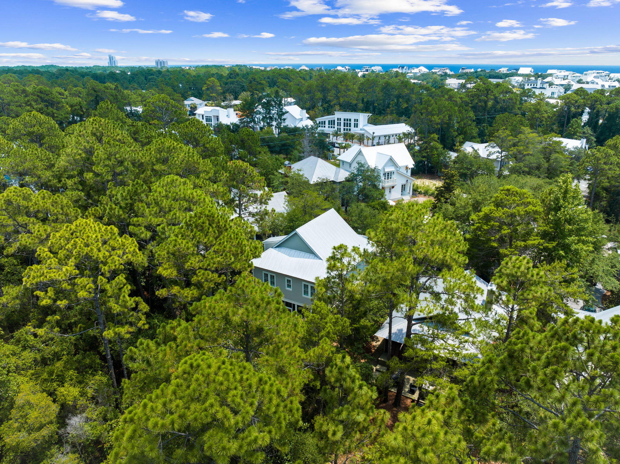 THE HAMMOCKS OF SEAGROVE - Residential