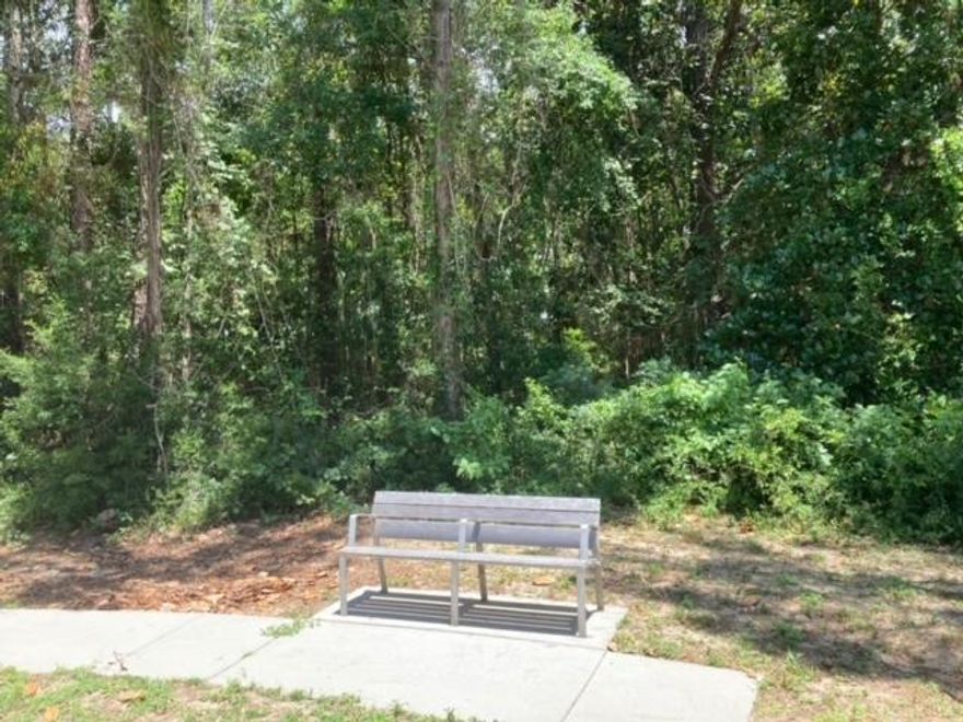 Includes 2 lots located on a cul de sac. Possible wetlands and buyer will need to satisfy themselves of the suitability of these lots if they intend to build on the lots. The property offered includes parcel number 09-2S-24-0510-0021-0000 and 09-2S-24-0510-0020-0000