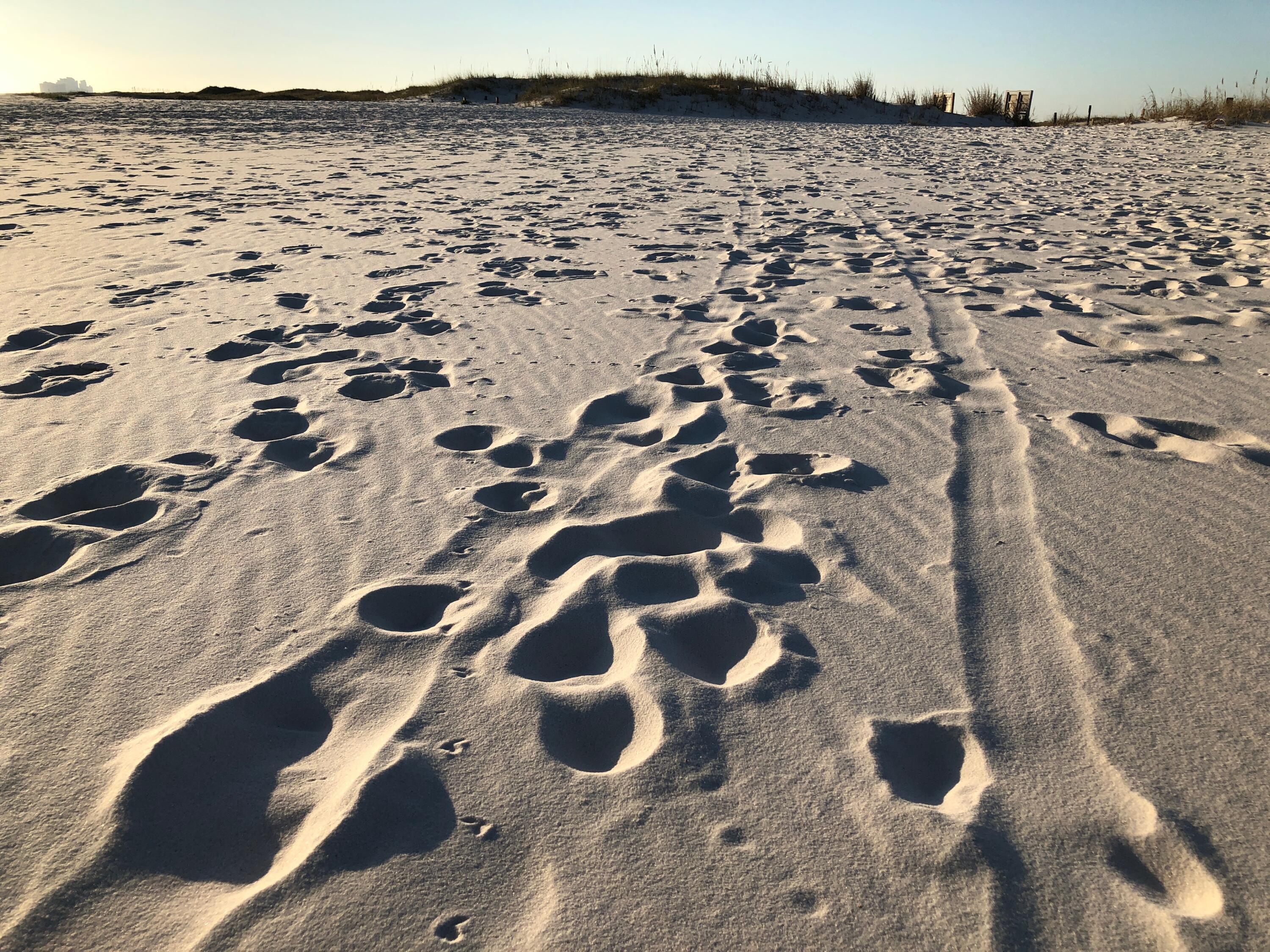 Lost Key Golf & Beach Club - Residential