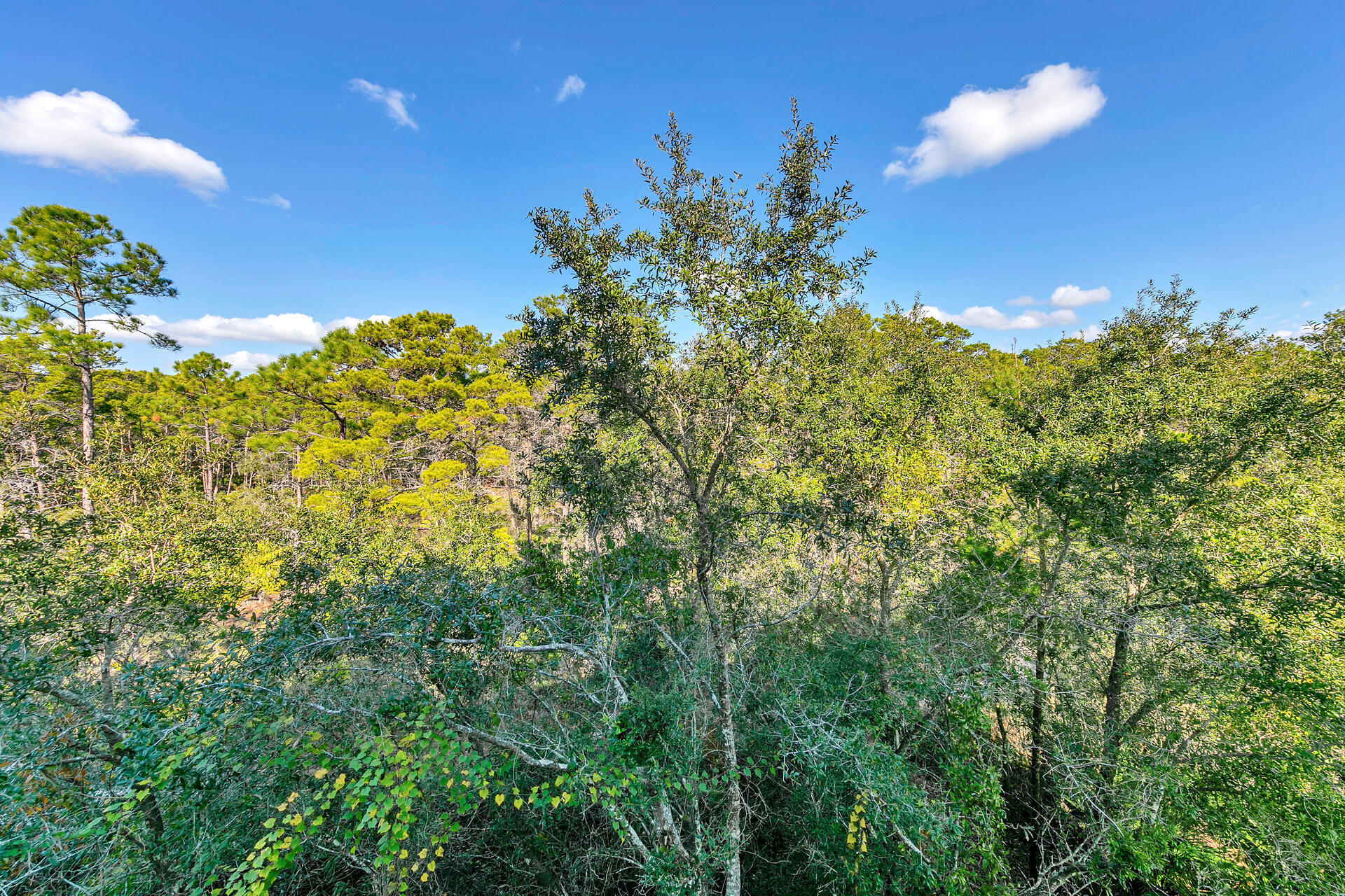 HERONS WATCH CONDO - Residential