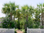 OLD FLORIDA COTTAGES - Residential