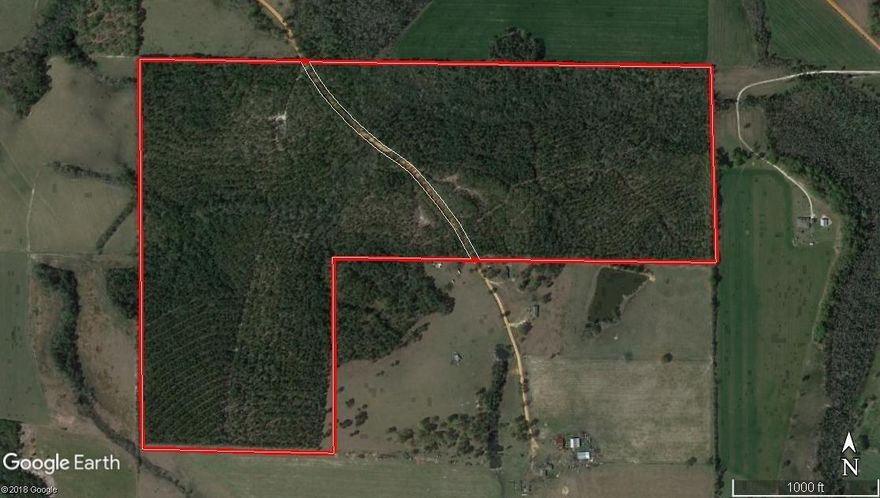 Great recreational tract in a beautiful area of the county. This tract is located in the Lakewood area, the highest point in Florida. Plenty of game, will make a hunting tract with deer and turkey prevalent in the area. Tract will be left with a residential cut on the planted pines of around 20 trees per acre.