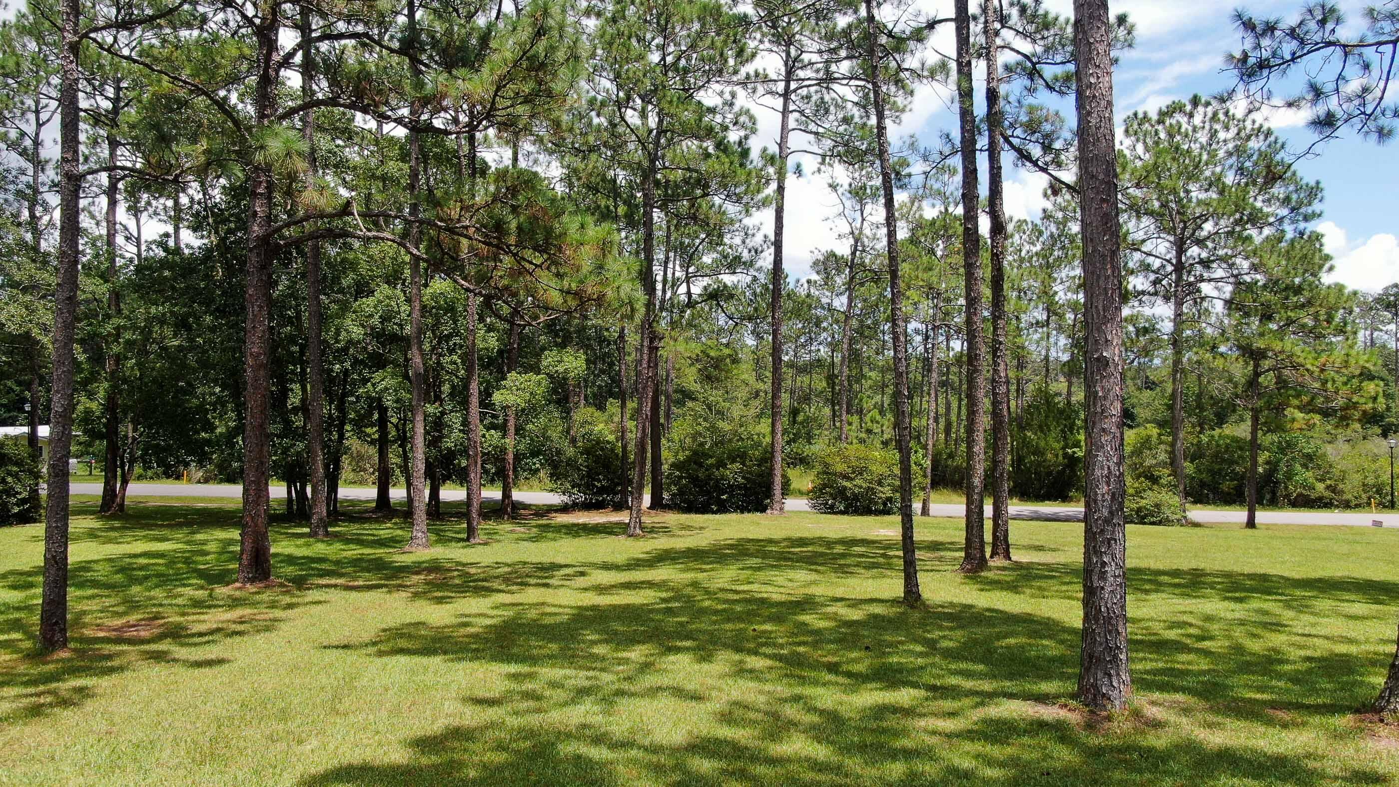 PINE SHORES - Residential