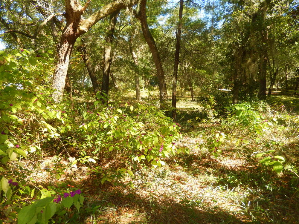 IMagine jumping into your boat and being on the Bay in just 5 minutes! Fantastic .30 acre buildable lot in the wonderful Poquito Bayou neighborhood! Lot is located just half block away from the Bay, park and complimentary boat ramp. No HOA fees and no build out time. Lot dimensions are approximately 130 x 100 and exact address to be determined. Home directly next door at 2 Bay street is also available for sale for $199,000. See MLS 748529. ACT TODAY as this one won't last long!