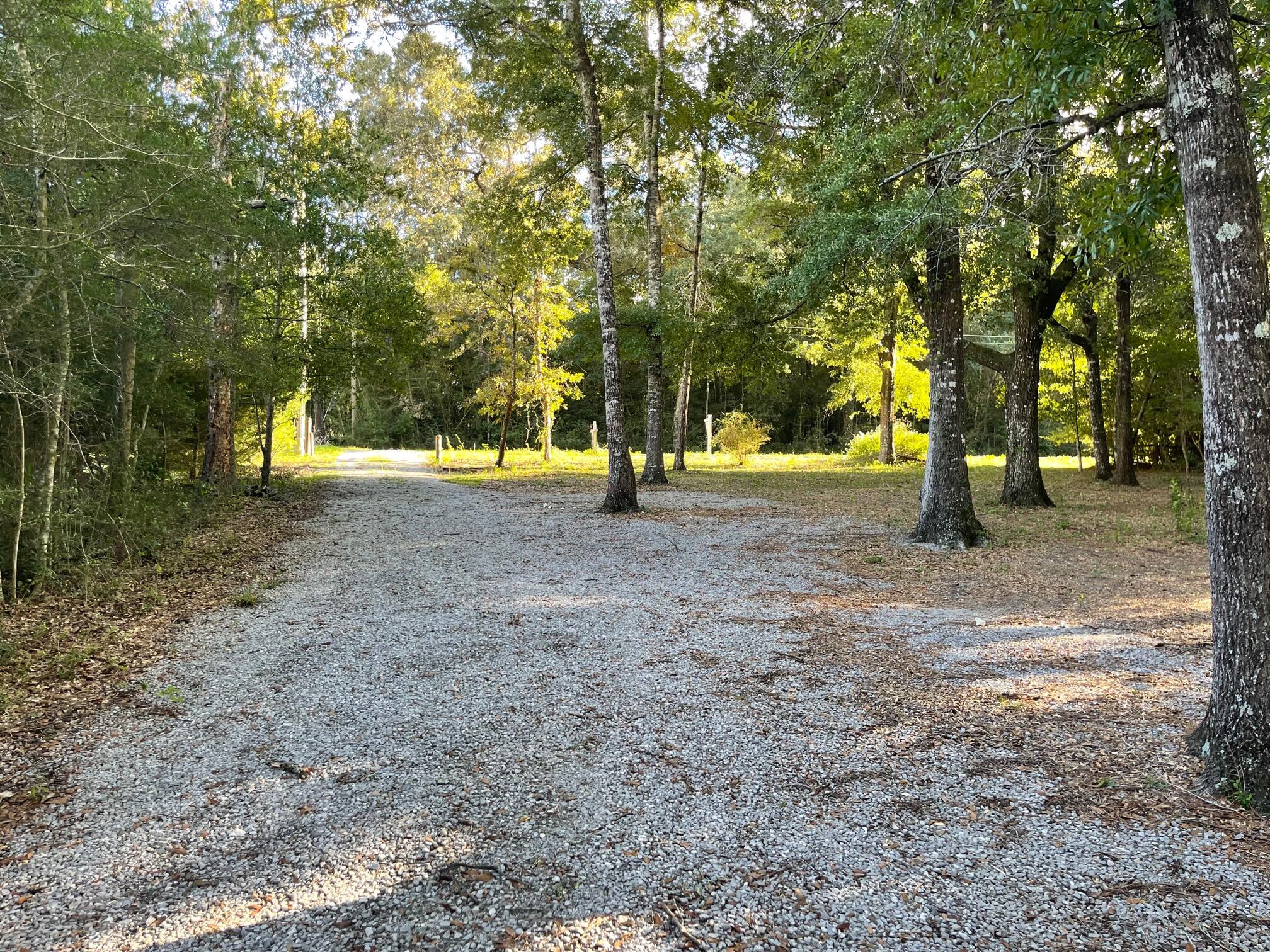 DOGWOOD TERRACE - Residential