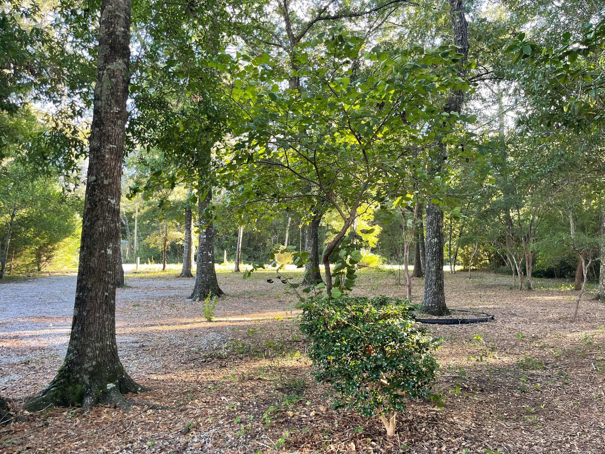 DOGWOOD TERRACE - Residential