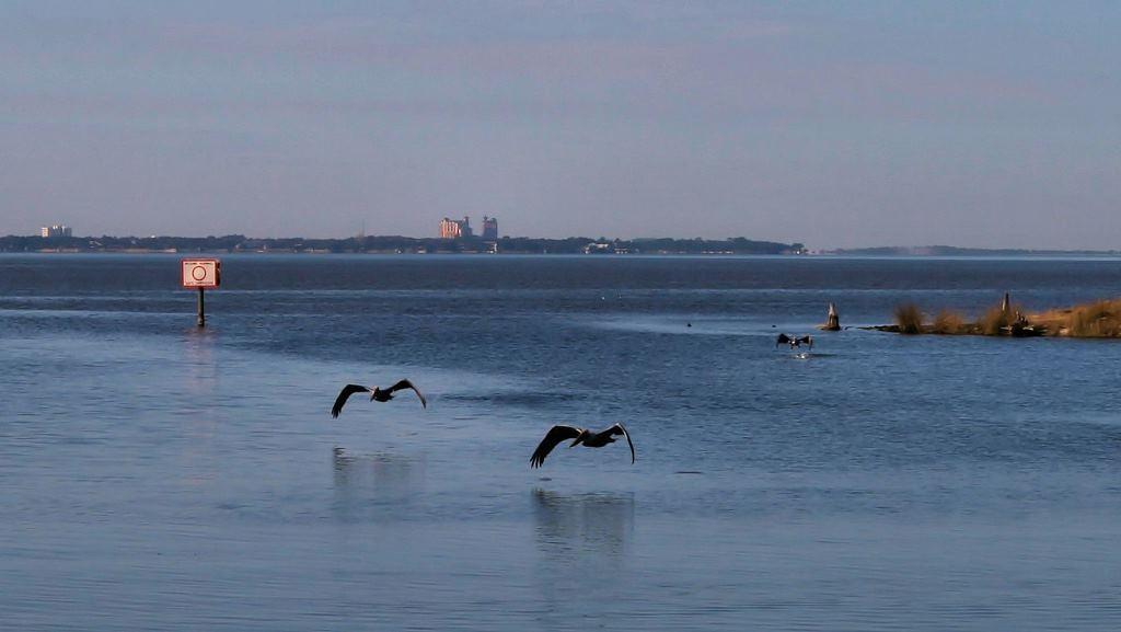 Southwind - Residential