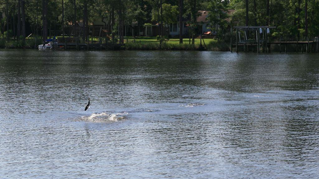 Southwind - Residential