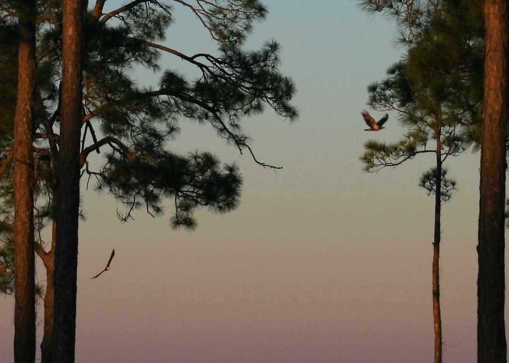 Southwind - Residential