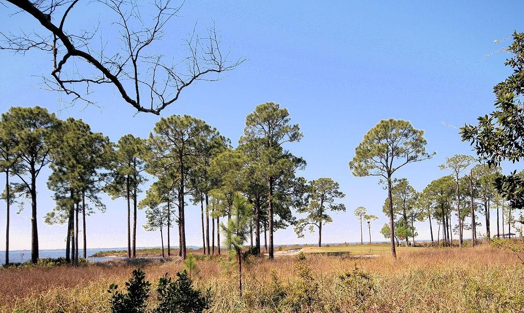 Southwind - Residential